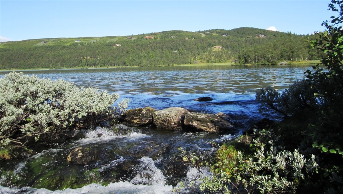 Fiskeløyse er et vakkert område med fantastisk natur og mange turmuligheter sommer som vinter. Galleribilde