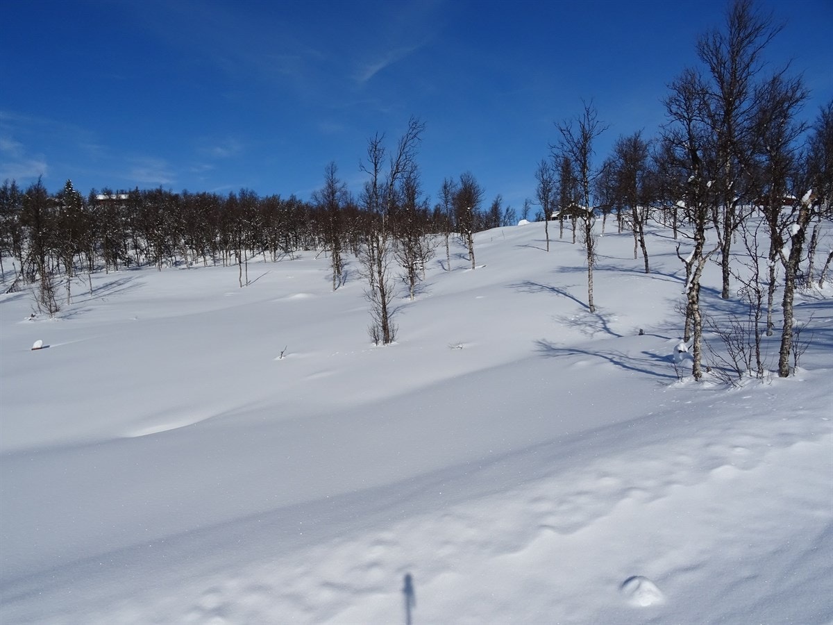 Om vinteren kjøres det opp skiløyper som henger sammen med løypenettet på Vaset og Veståsen. Galleribilde