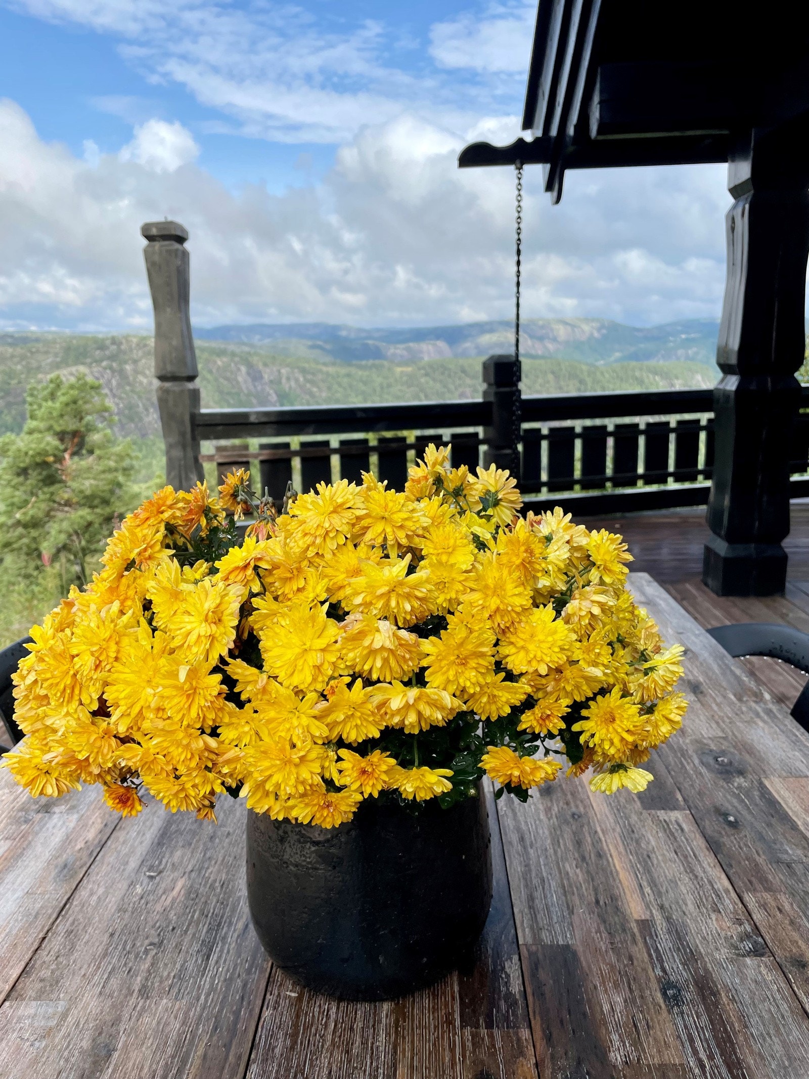 Det er gode solforhold - sol til etter 22.00 sommerstid ifølge selger. Galleribilde