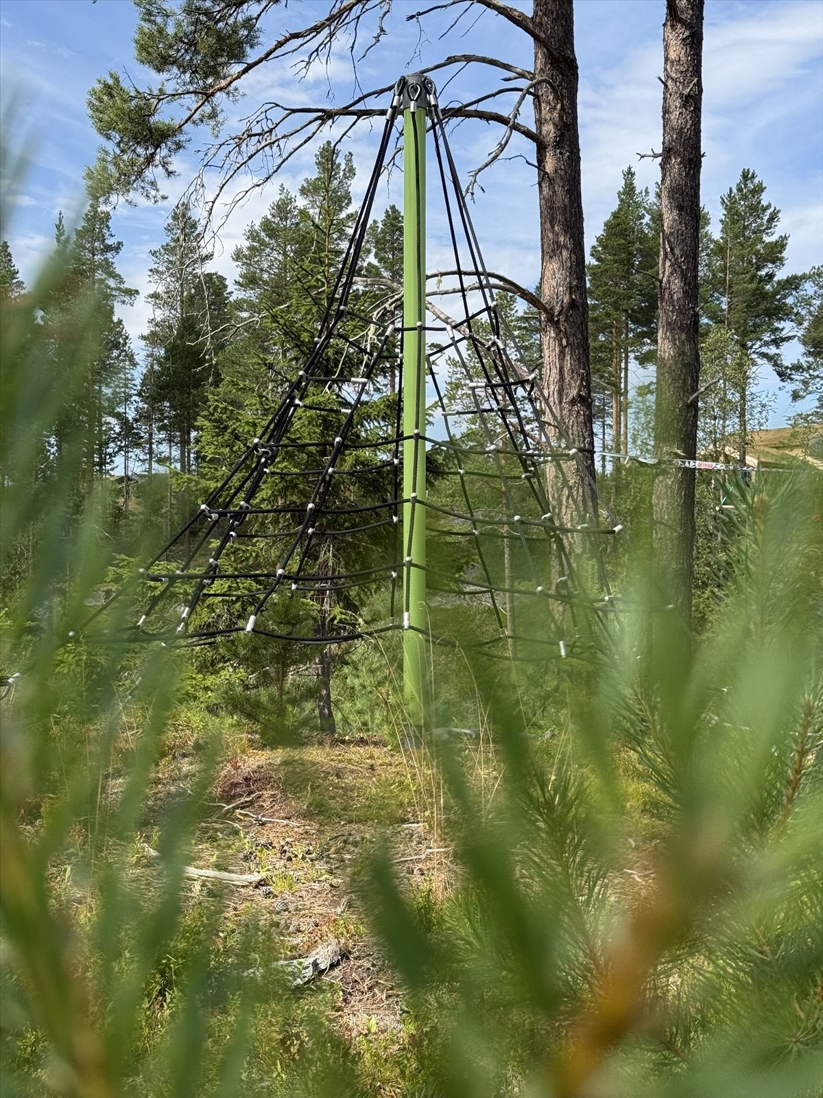 I feltet finnes egen aktivitetsplass/lekeplass, som er en kjempefin samlingsplass for både store og små. Galleribilde