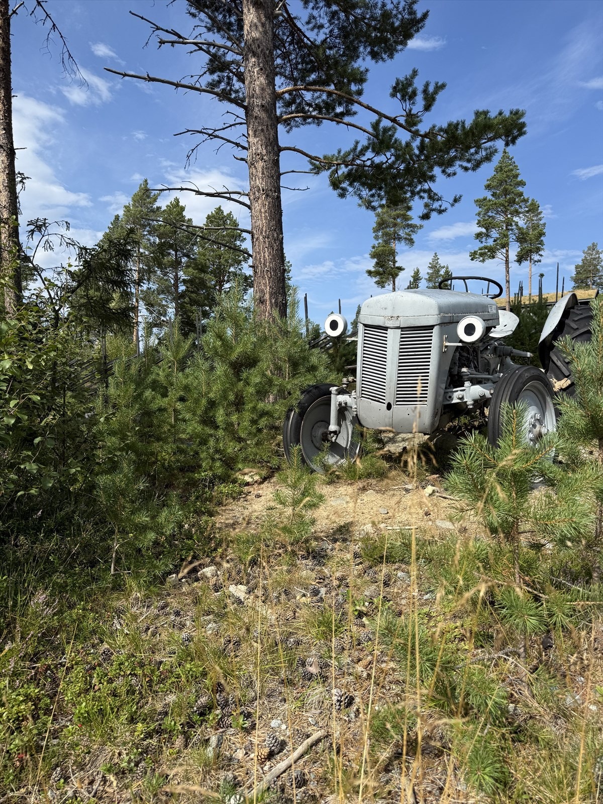 I feltet finnes egen aktivitetsplass/lekeplass, som er en kjempefin samlingsplass for både store og små. Galleribilde