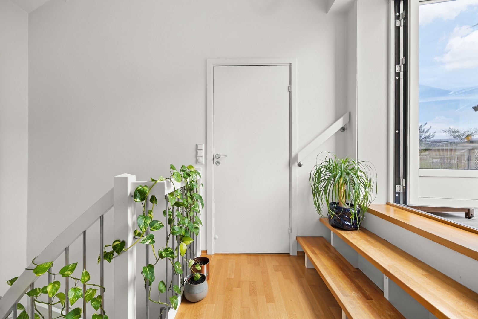 Utgang til takterrassen. Galleribilde