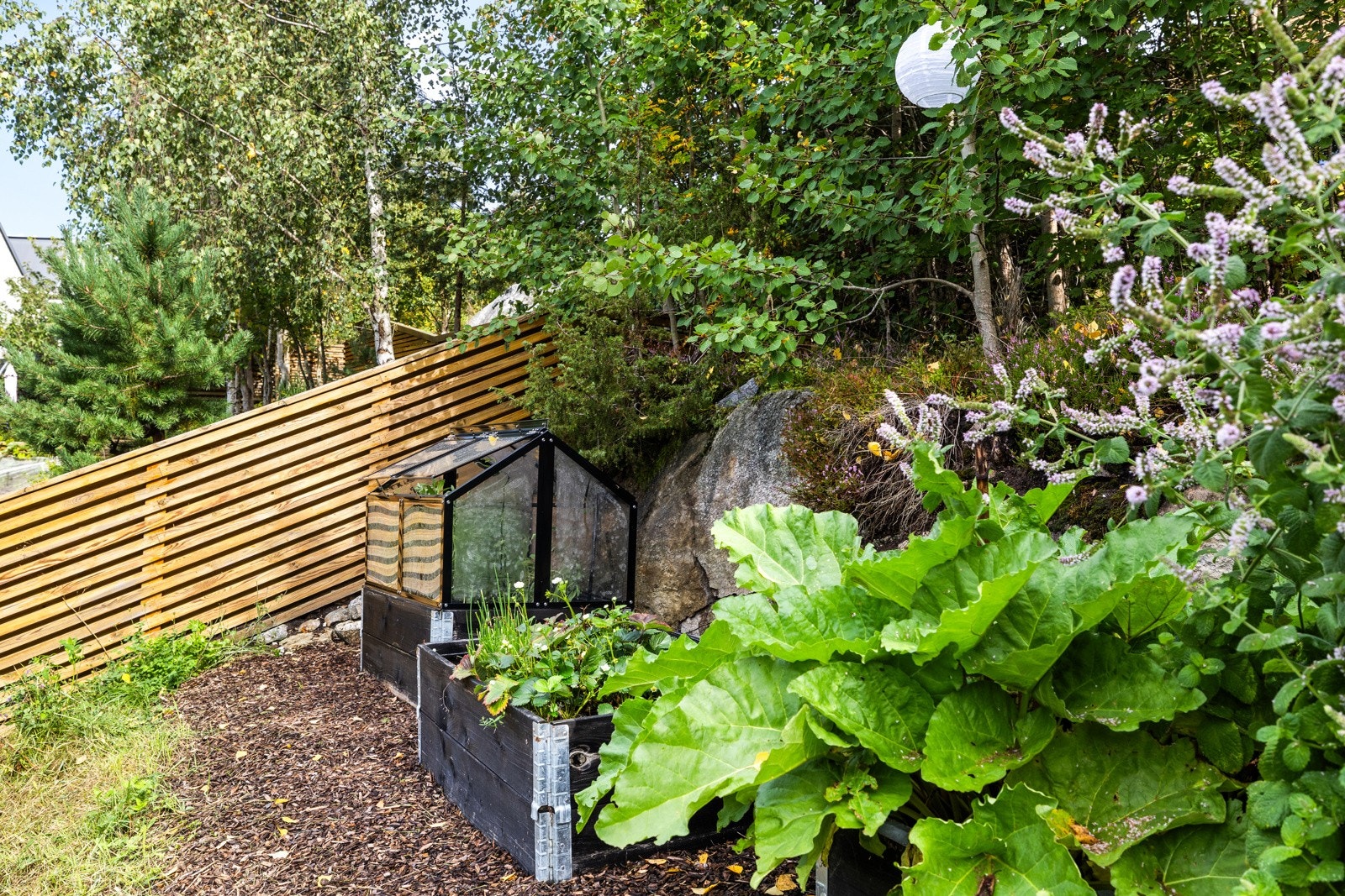 Opparbeidet hage med naturlig fjellvegg. Galleribilde
