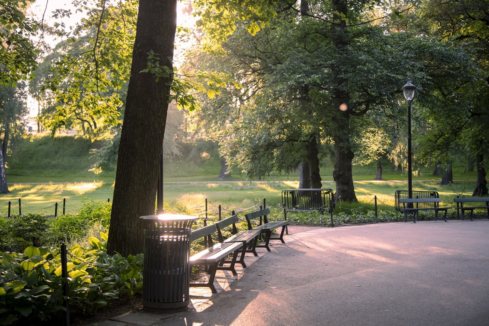 Like ved finner du fine stier gjennom Slottsparken. Galleribilde
