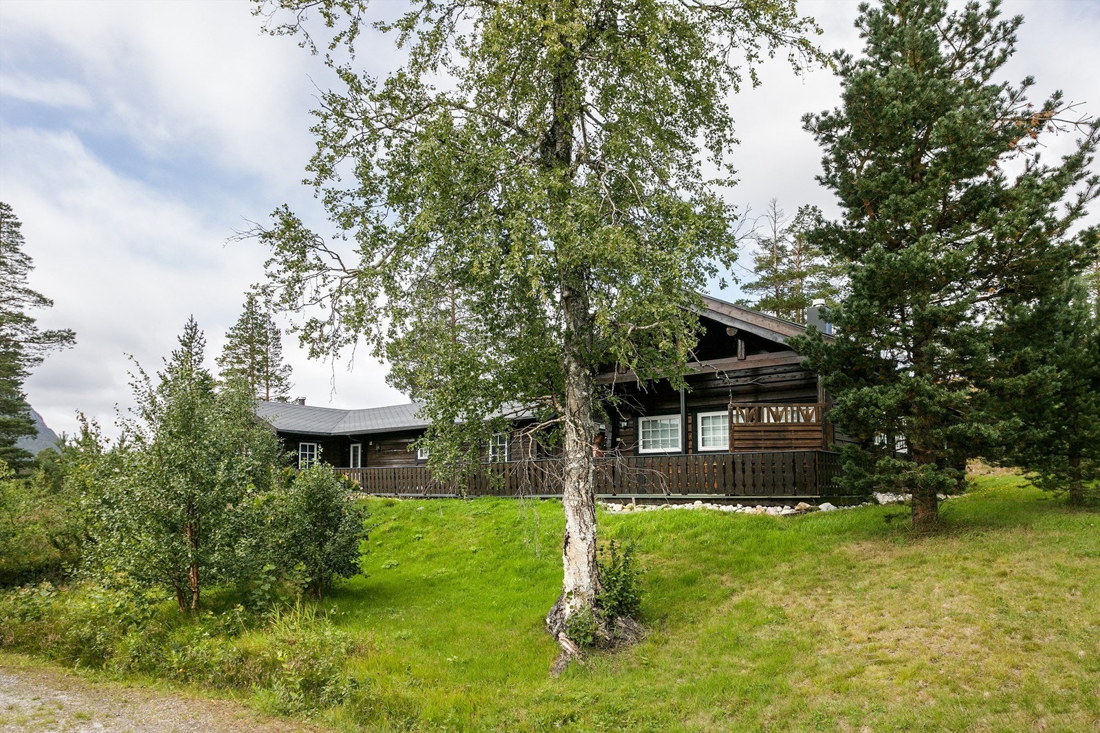 Lett skrånende terreng med plen og naturtomt Galleribilde