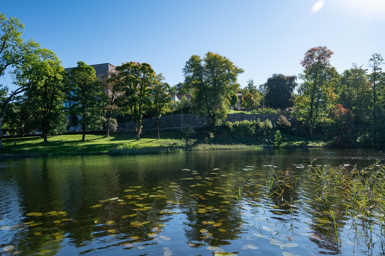 Populær tursti på andre siden av vannet Galleribilde