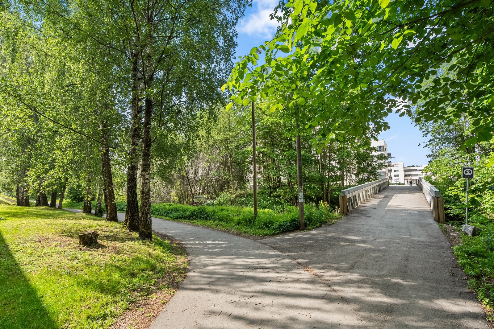 Nærområdet byr på flotte turmuligheter i naturskjønne omgivelser Galleribilde
