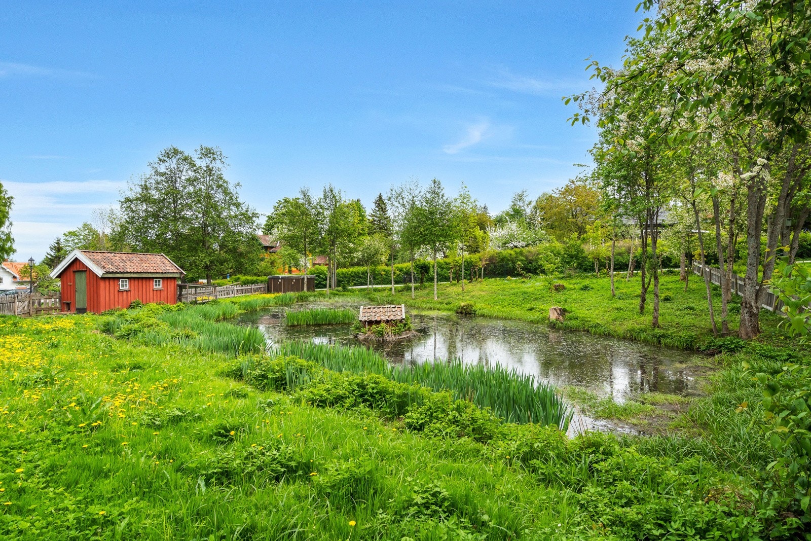 Nærområde Galleribilde