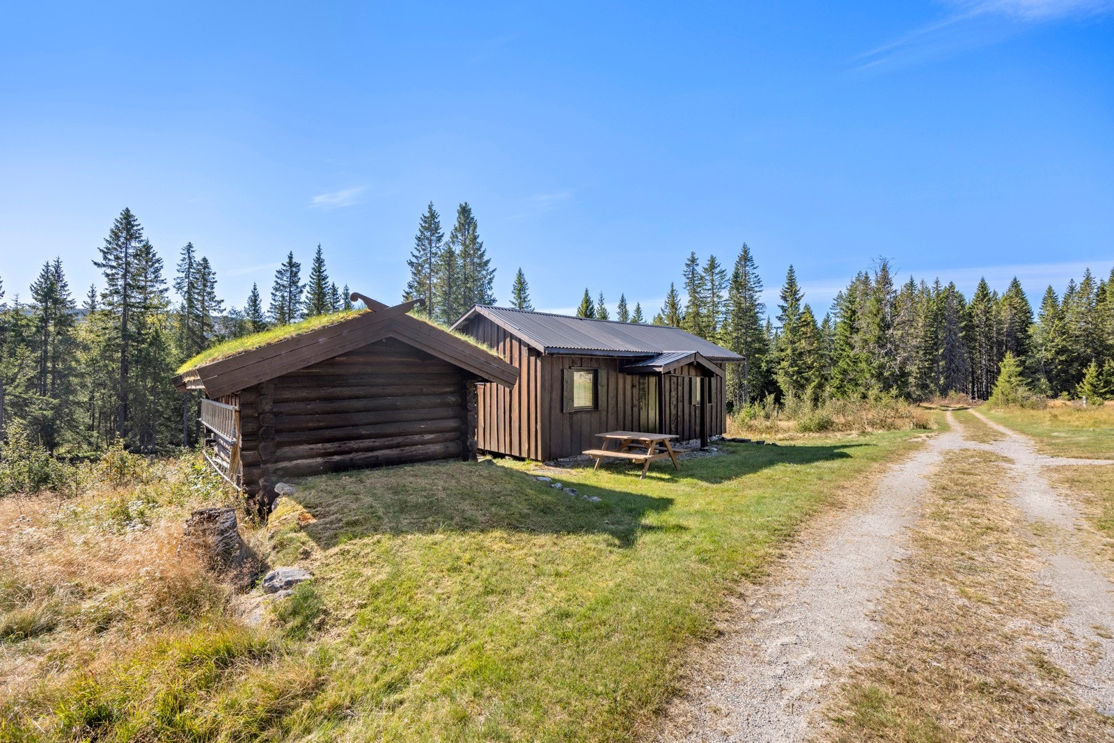 Koselig tun! Sommervei til hytta! Galleribilde