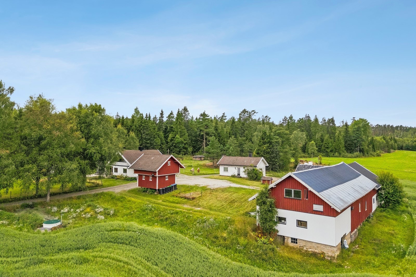 Mikael Lilletvedt v/DNB Eiendom presenterer Haraldstadskogen gård! Galleribilde