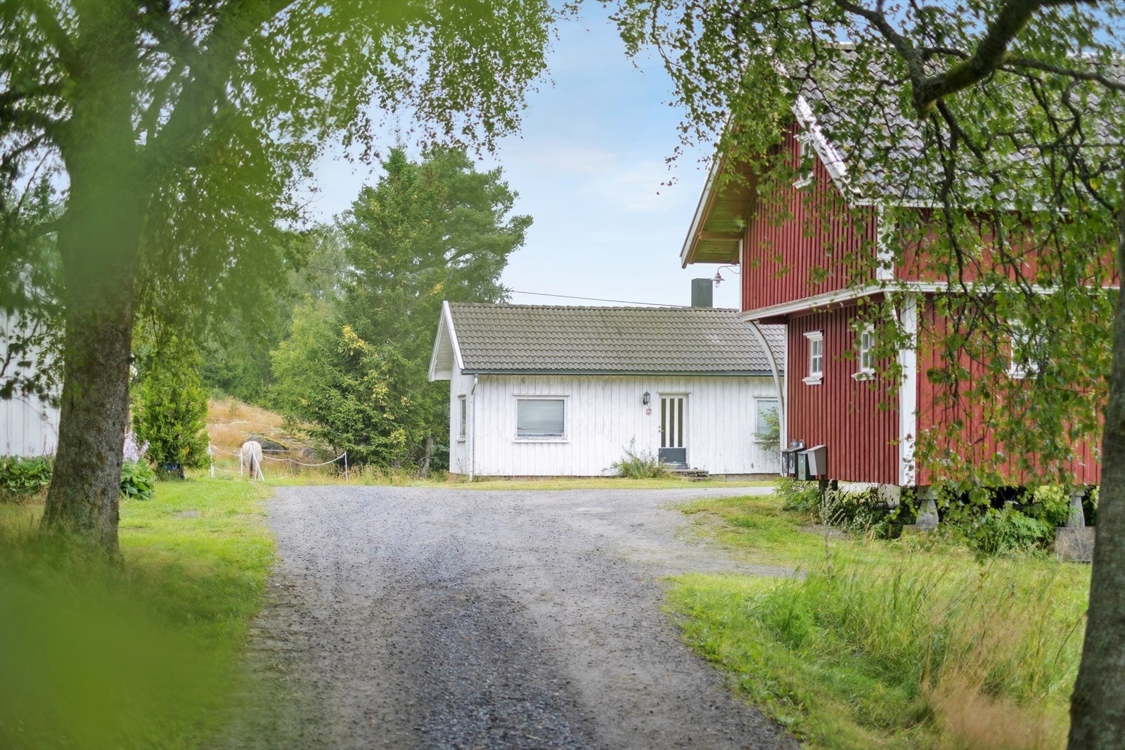 Velkommen inn til eiendommen! Galleribilde