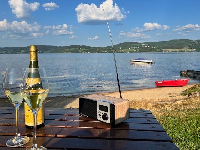 Sommerstemning ved fjorden. Galleribilde
