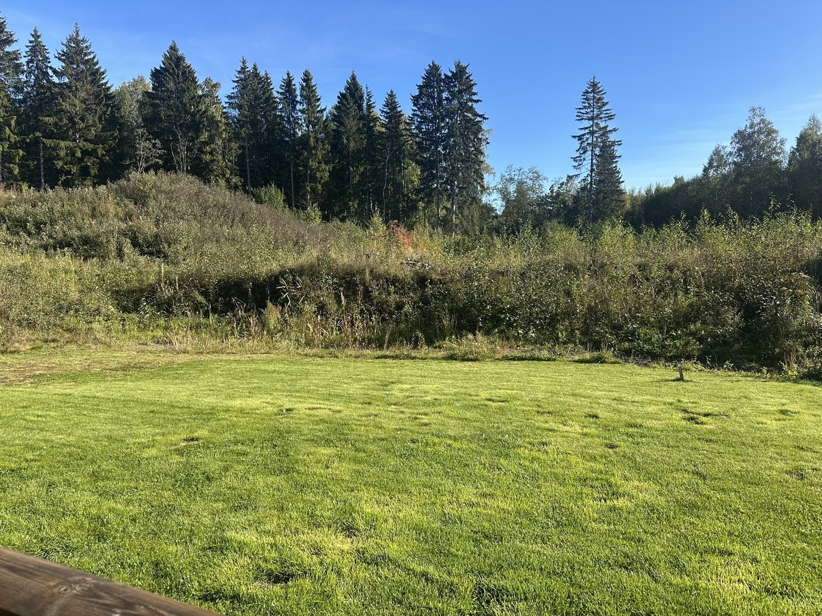 Pleanarealet på sørsiden av leiligheten. Området utenfor plenen som er tiltenk til lekeplass/friareal. Galleribilde