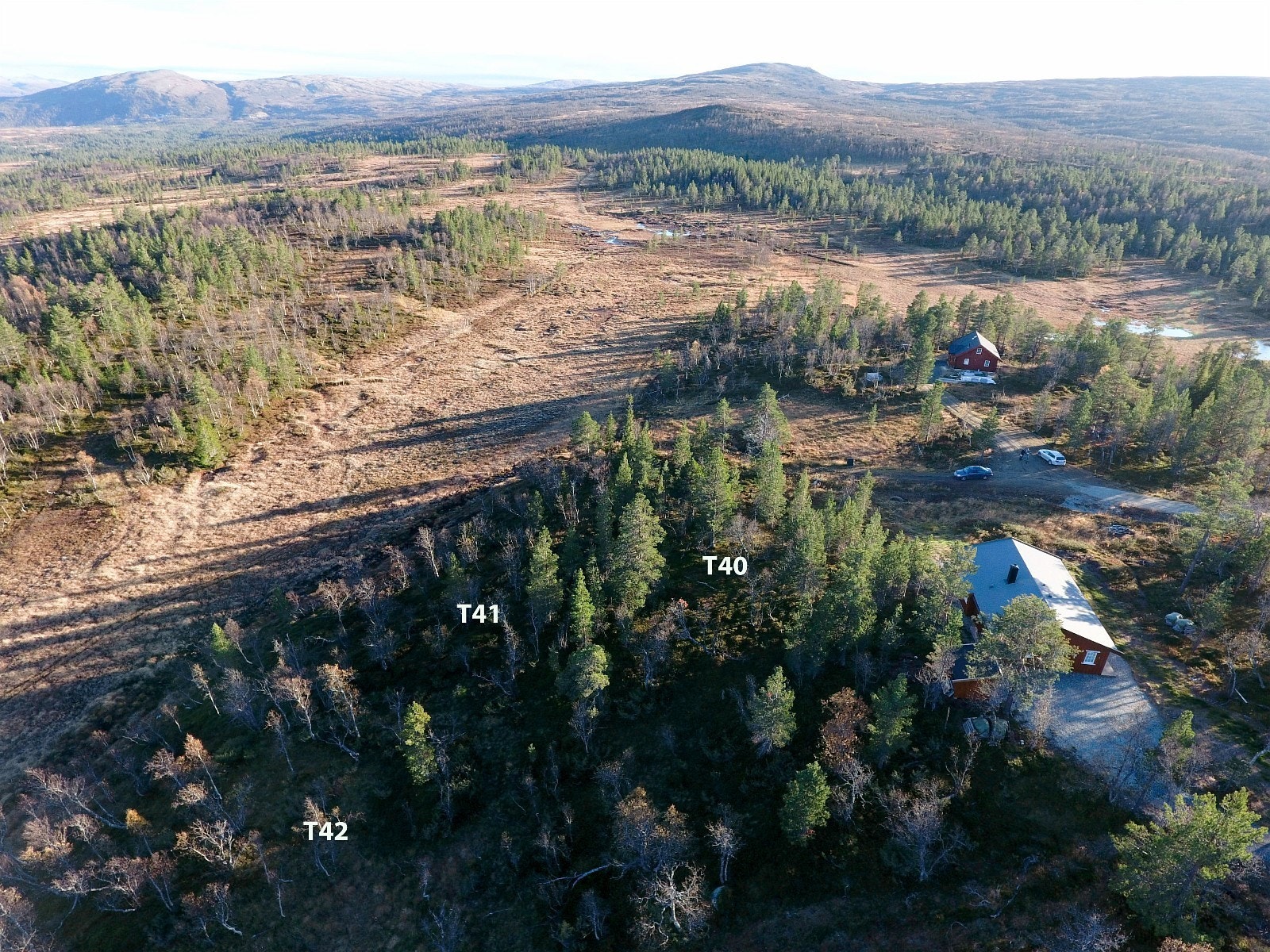 Mot tomtene 40, 41 og 42 Galleribilde