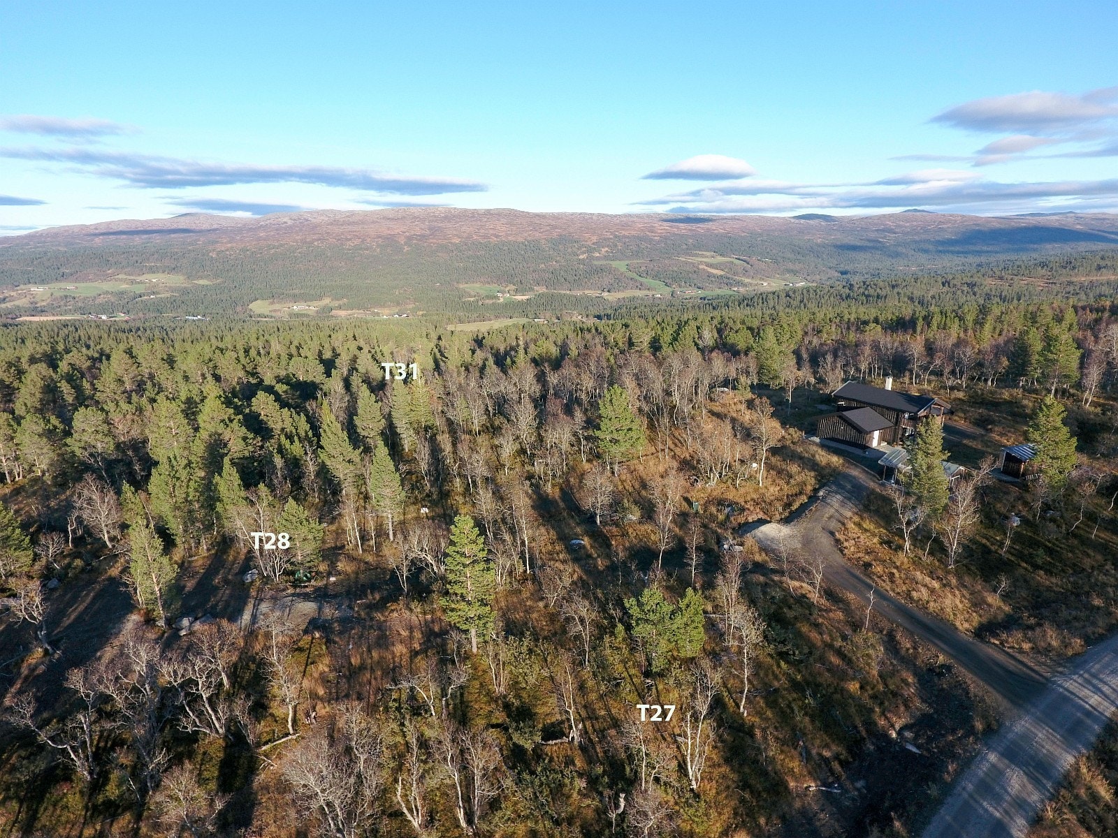 Her ser vi østover mot midterste del av feltet Galleribilde