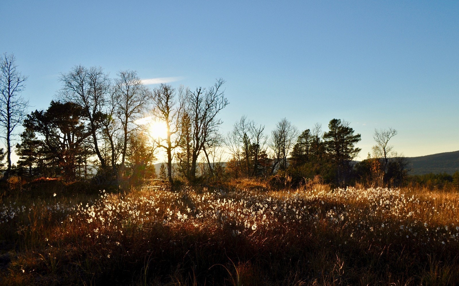 Gammelvollia byr på ypperlige solforhold hvor du kan nyte kveldssola på egen terrasse i frisk fjelluft ca. 650 m.o.h Galleribilde