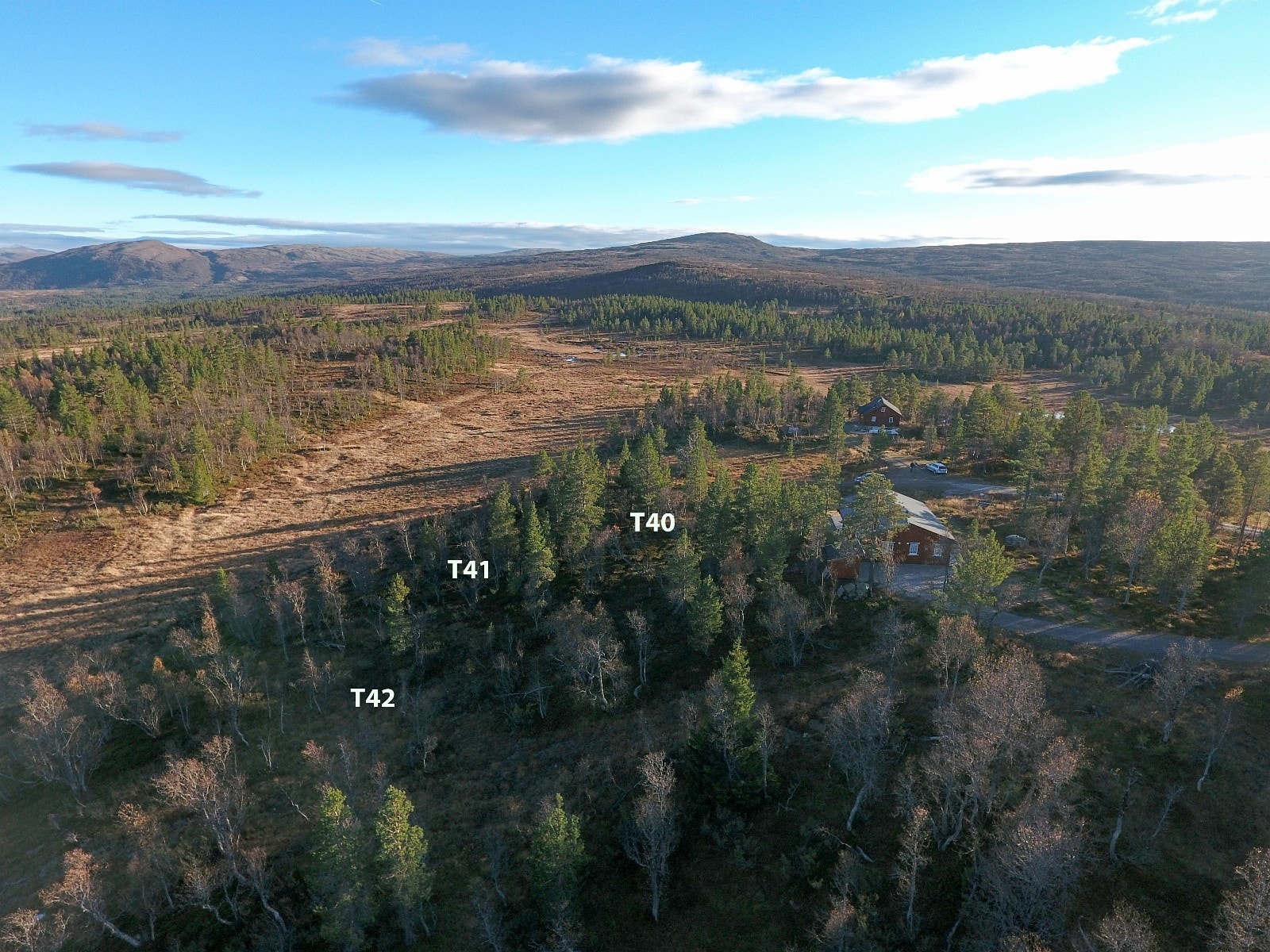 Tomtene 40, 41, og 42 Galleribilde