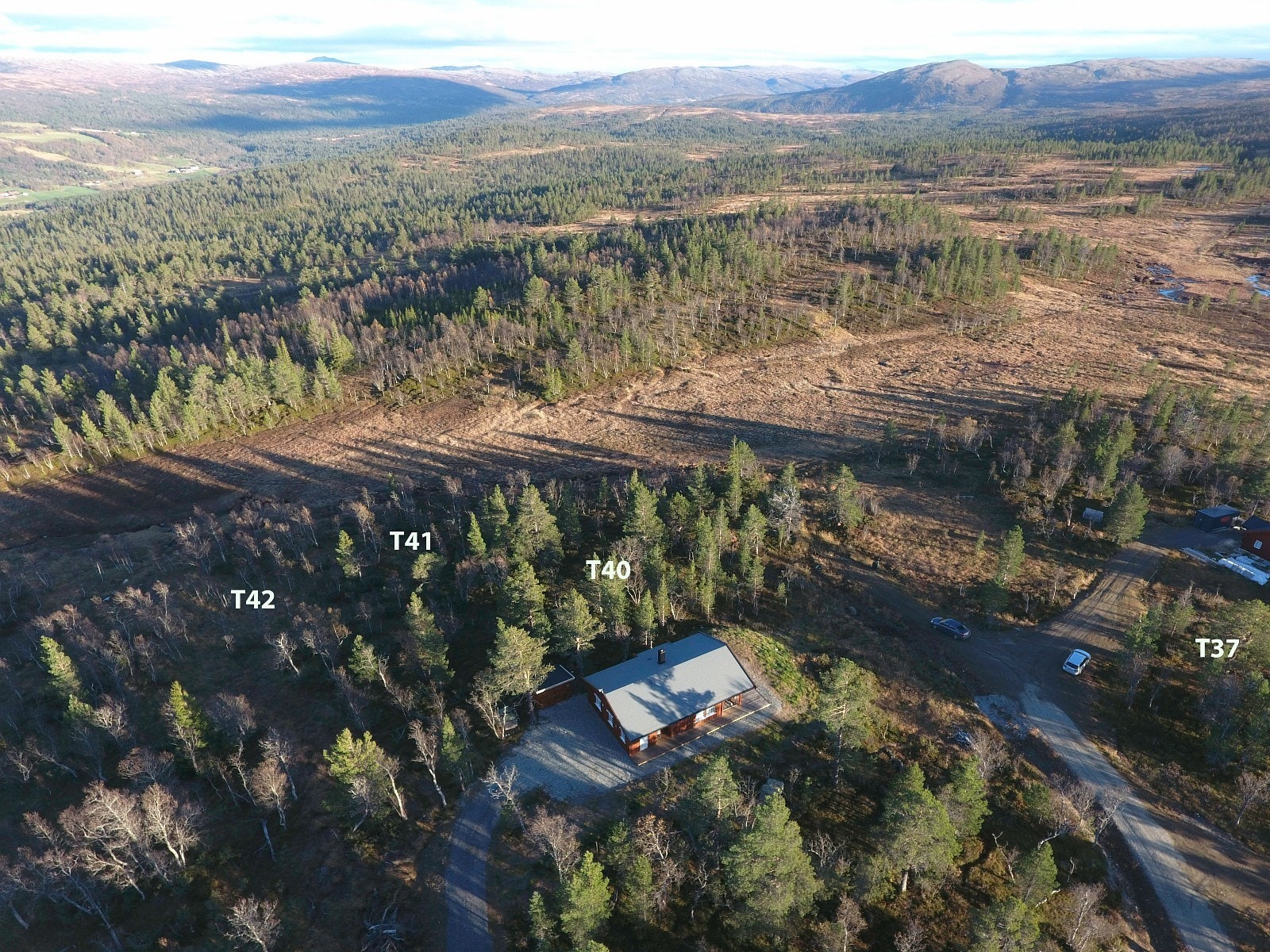 Her vrir vi utsnittet til venstre og øst iforhold til forrige bilde Galleribilde