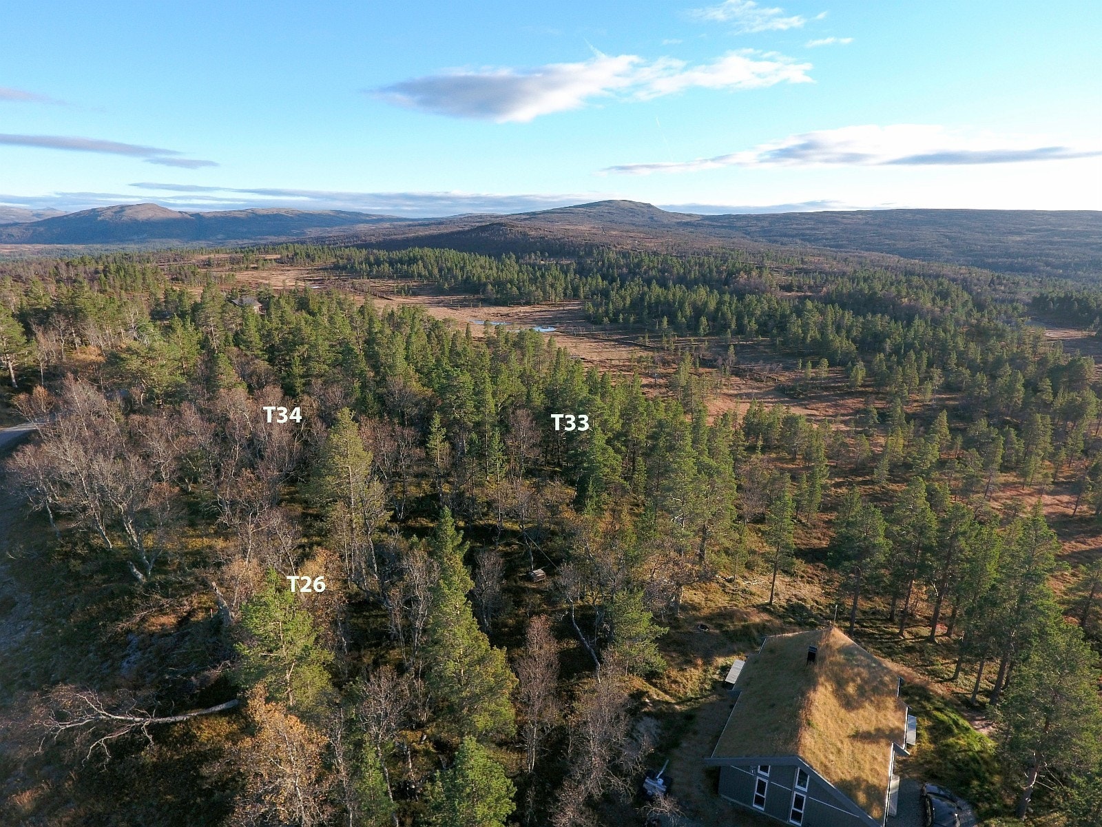 Her vrir vi bildeutsnittet mot høyre og vest iforhold til forrige bilde Galleribilde