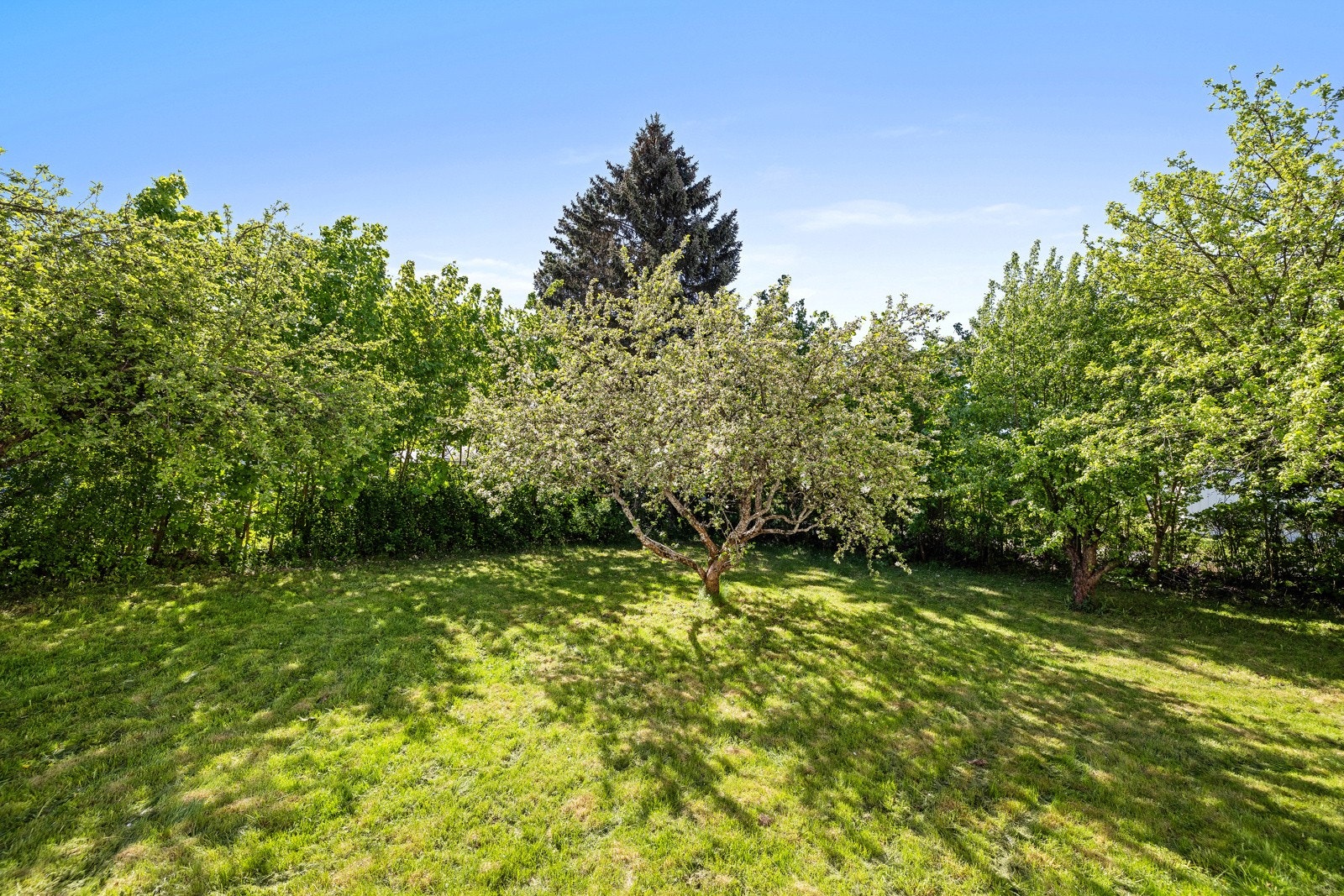 Skjermet og pen hage. Galleribilde