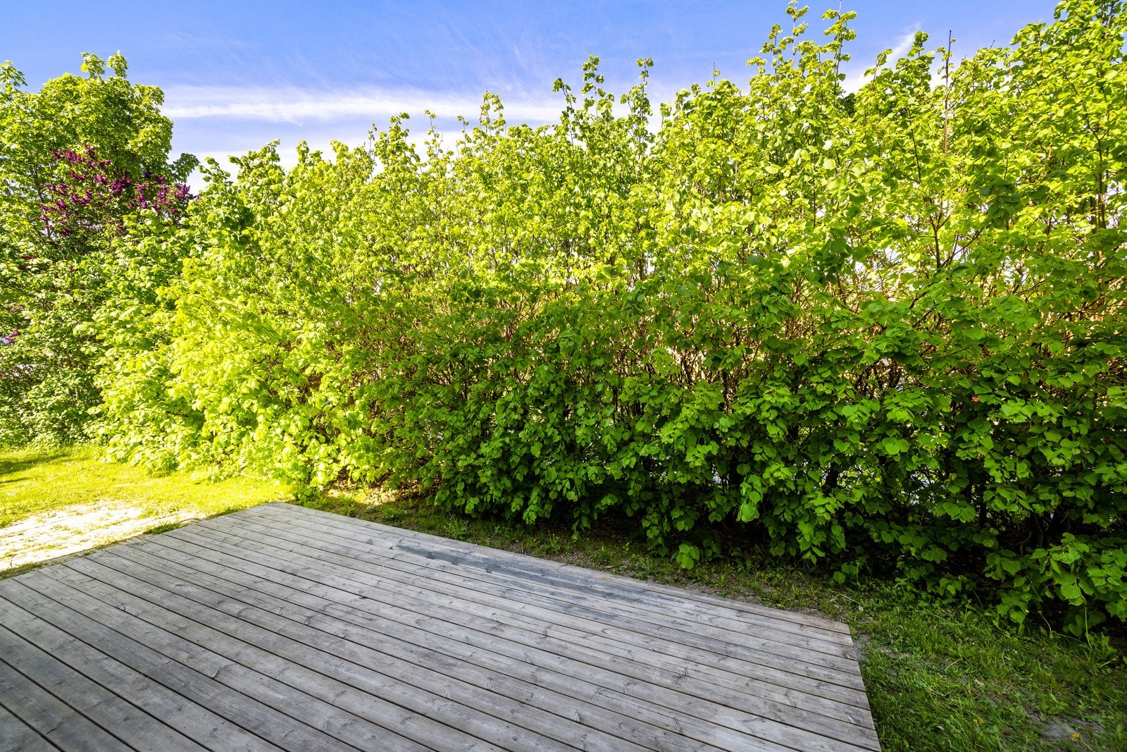 Leiligheten har platting med adkomst fra stue. Galleribilde