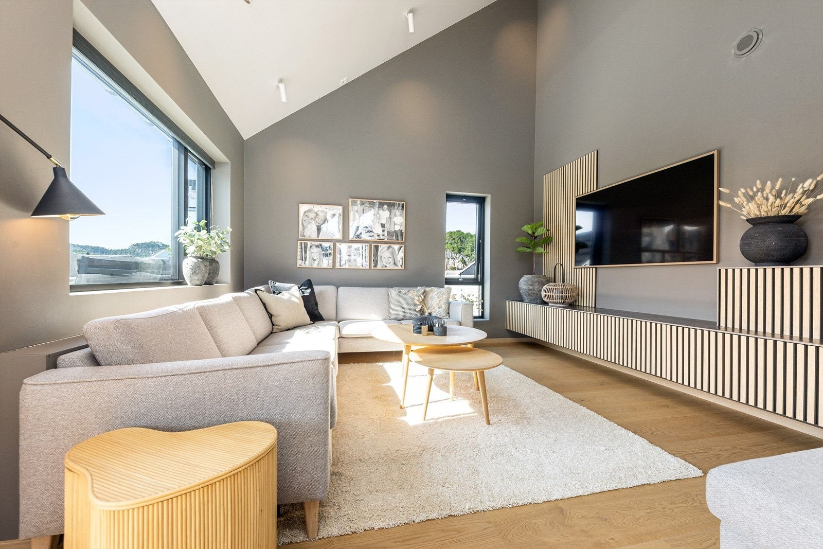 Tv-stue Galleribilde