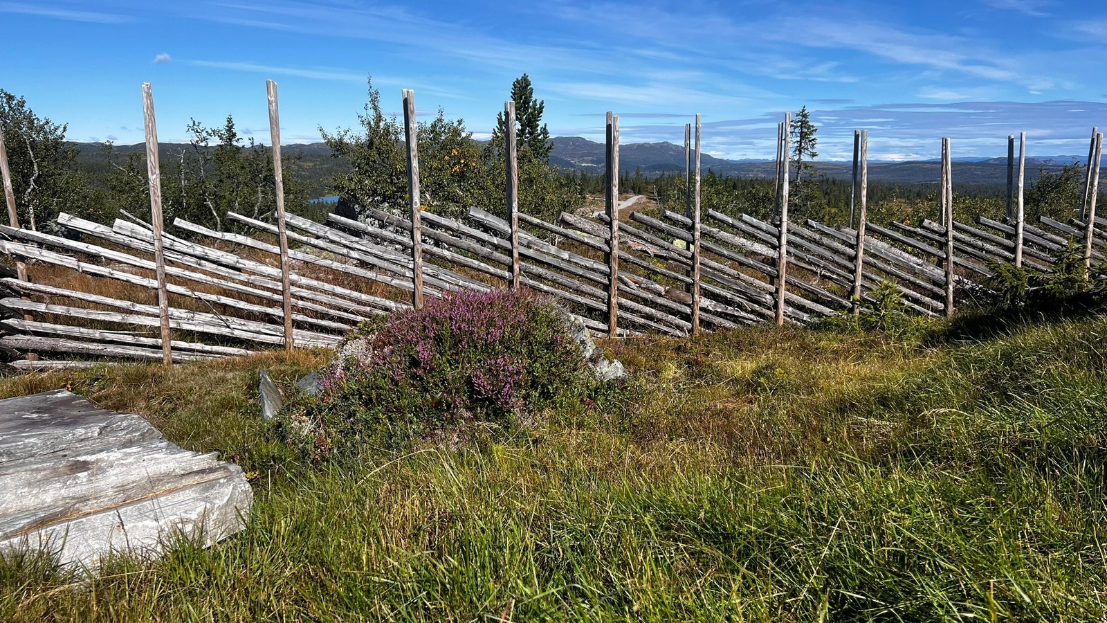 Klassisk skigard rundt hele hytta Galleribilde