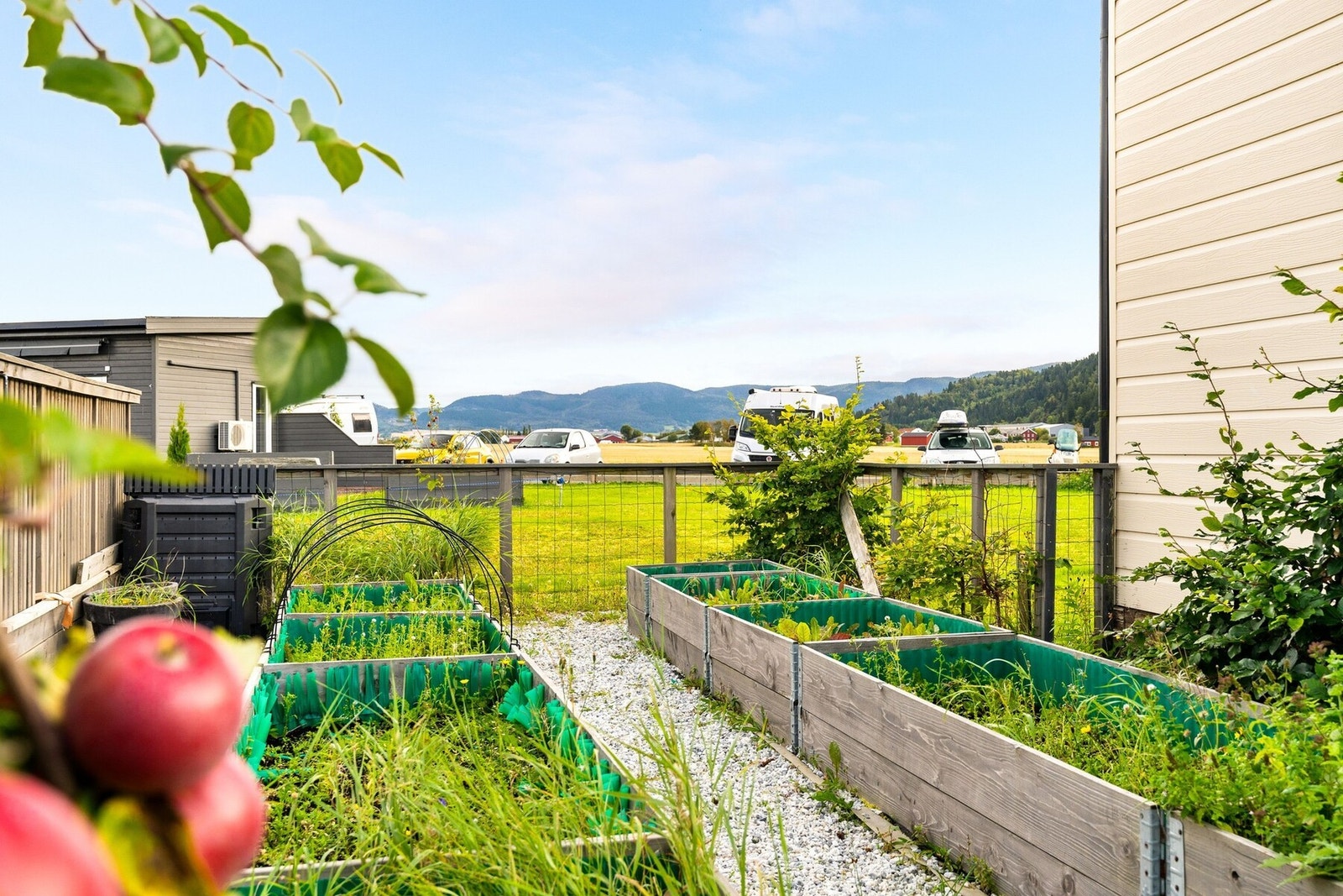 Det er satt opp plantekasser til kjøkkenhage. Galleribilde