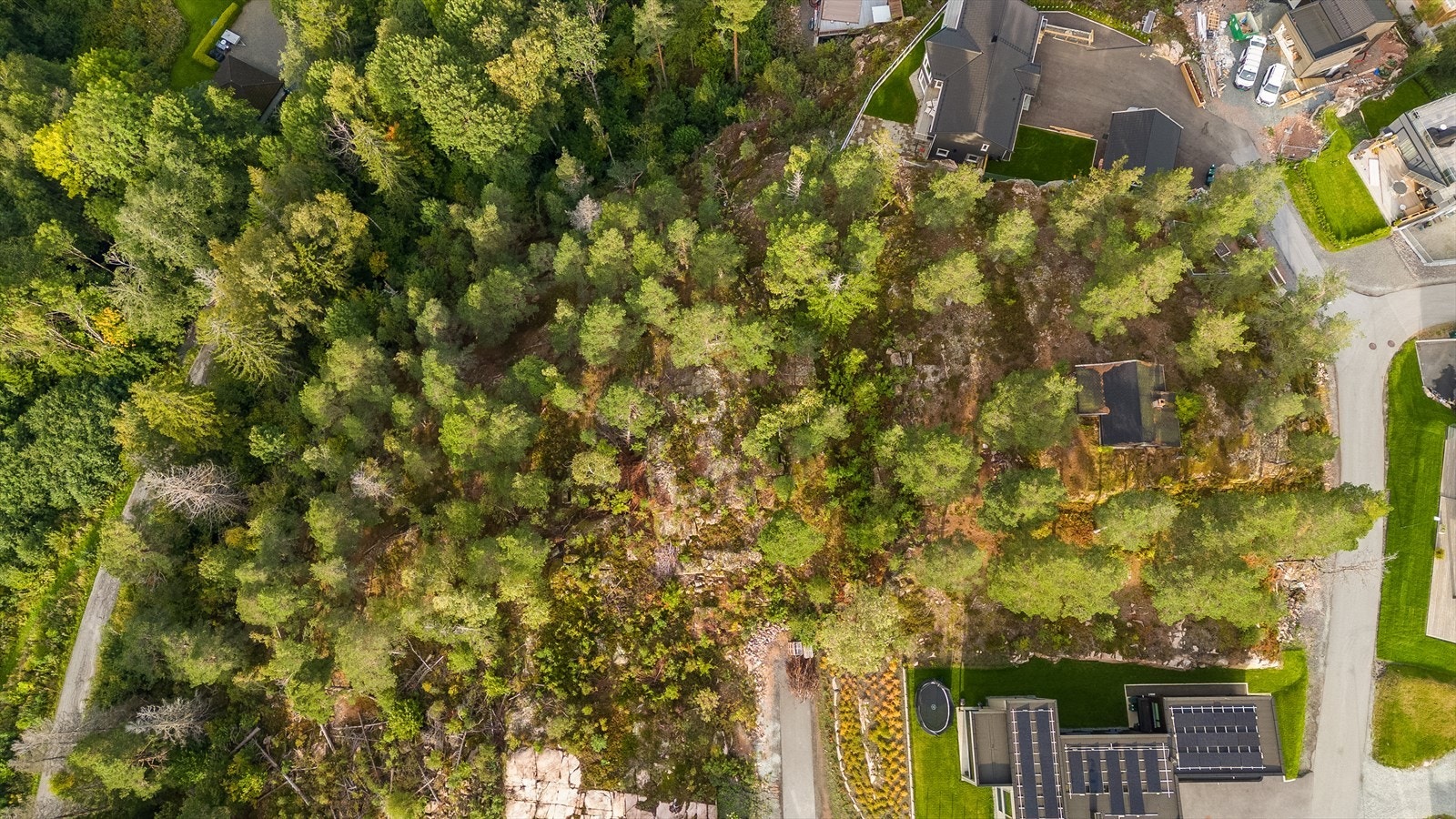 Stor tomt, 1492 m². Galleribilde