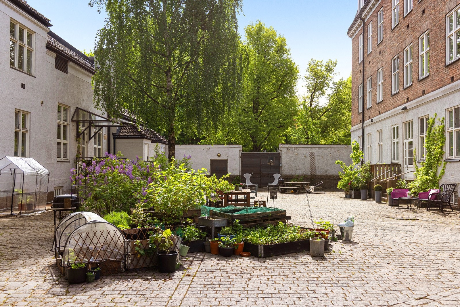 Sameiet har flotte fellesarealer, med blant annet urtehage og fellesområde for beboerne. Galleribilde