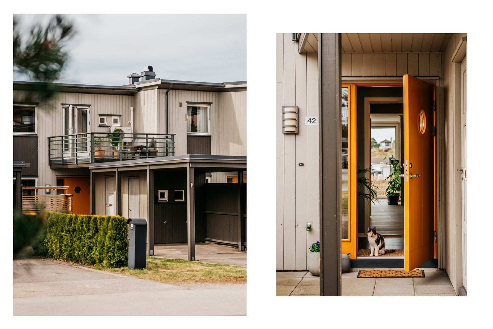 Pus inviterer inn i boligen, noen bruker statister, vi bruker pus her Galleribilde