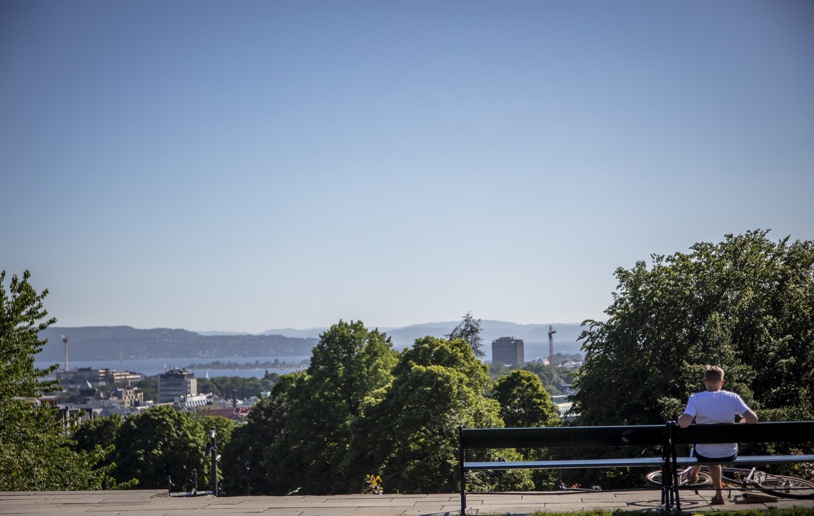 Områdebilde. Galleribilde