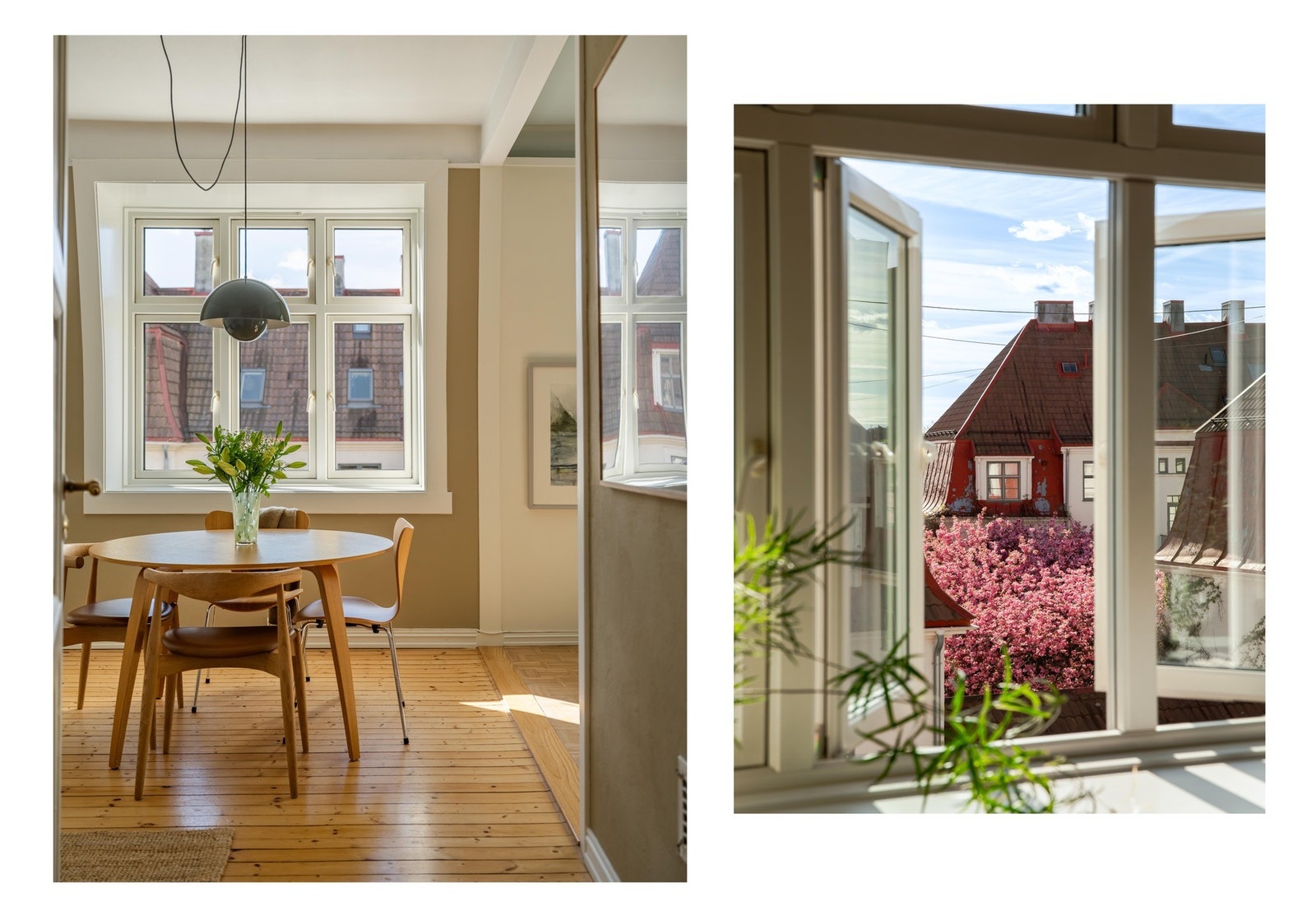 Om man skulle se ut av vinduet på kjøkkenet, og det er vår, ser det omtrent sånn ut. Galleribilde