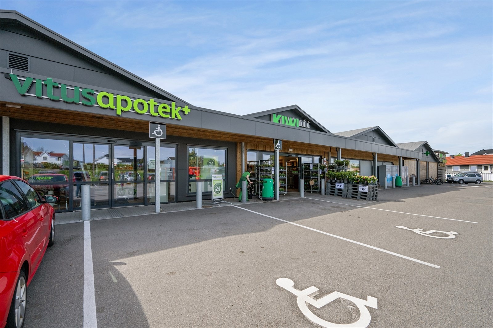 Kiwi på Vear Galleribilde