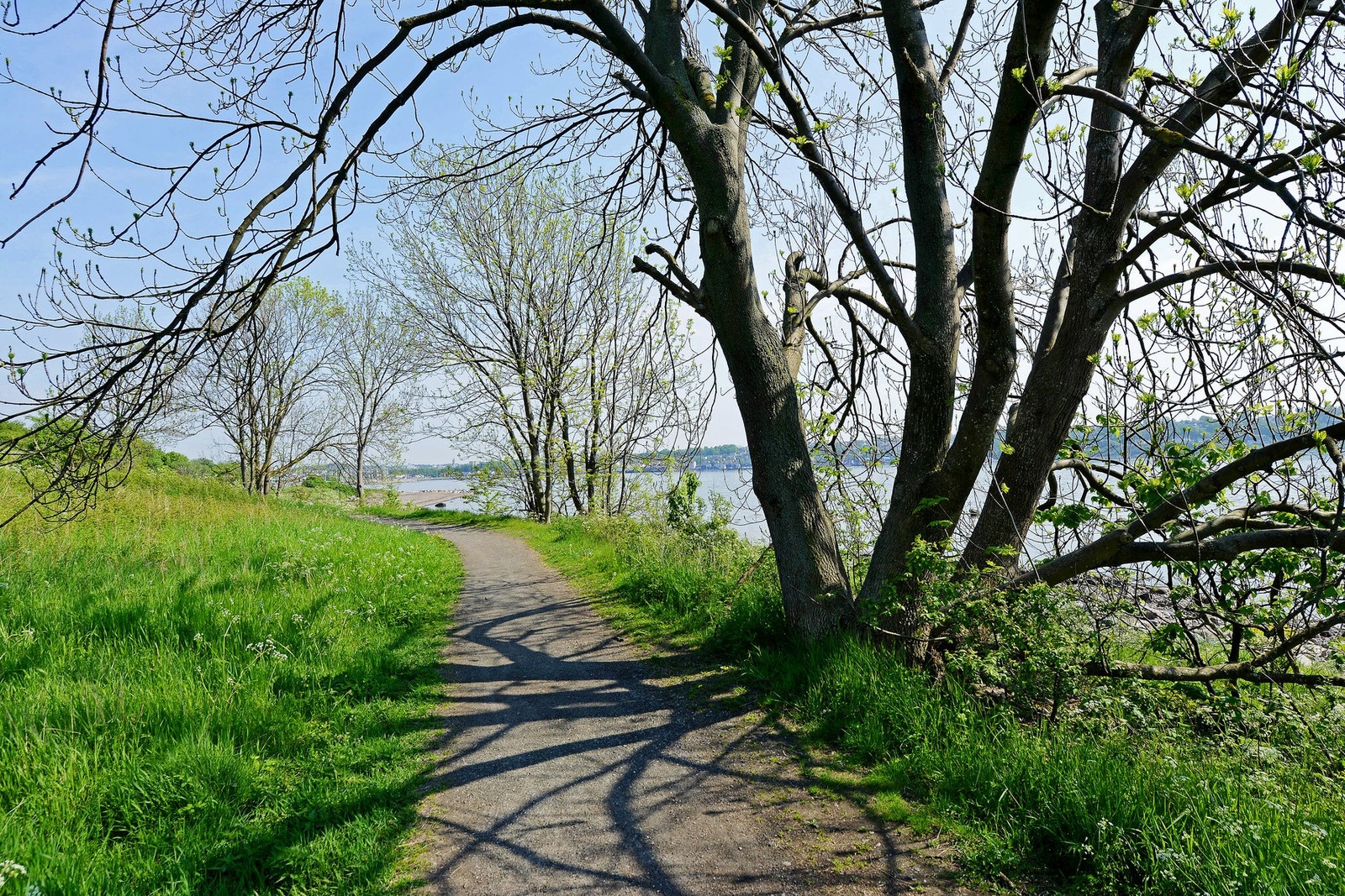 Det er mange flotte turstier! Galleribilde