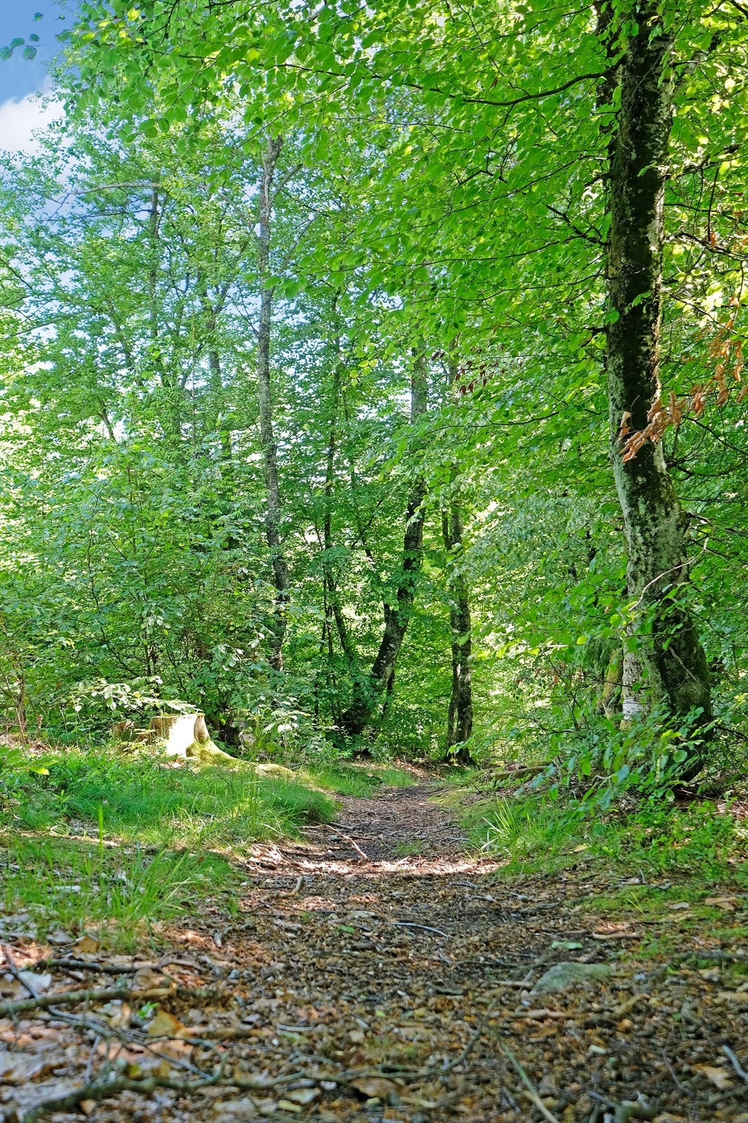 Det er nærhet til flott turterreng og populær kyststi. Galleribilde