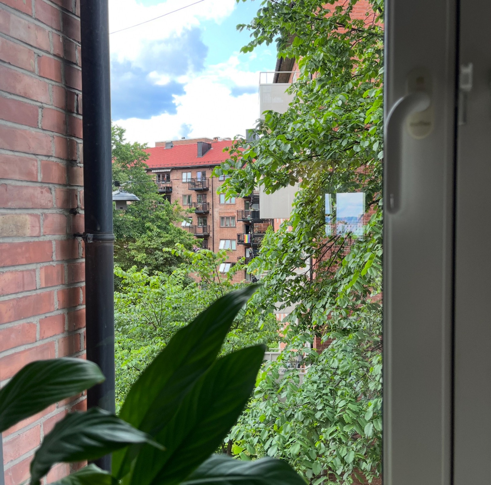 Her vender det ut mot en skjermet og rolig bakgate. Nydelig utsyn er det også. (Selgers bilde) Galleribilde