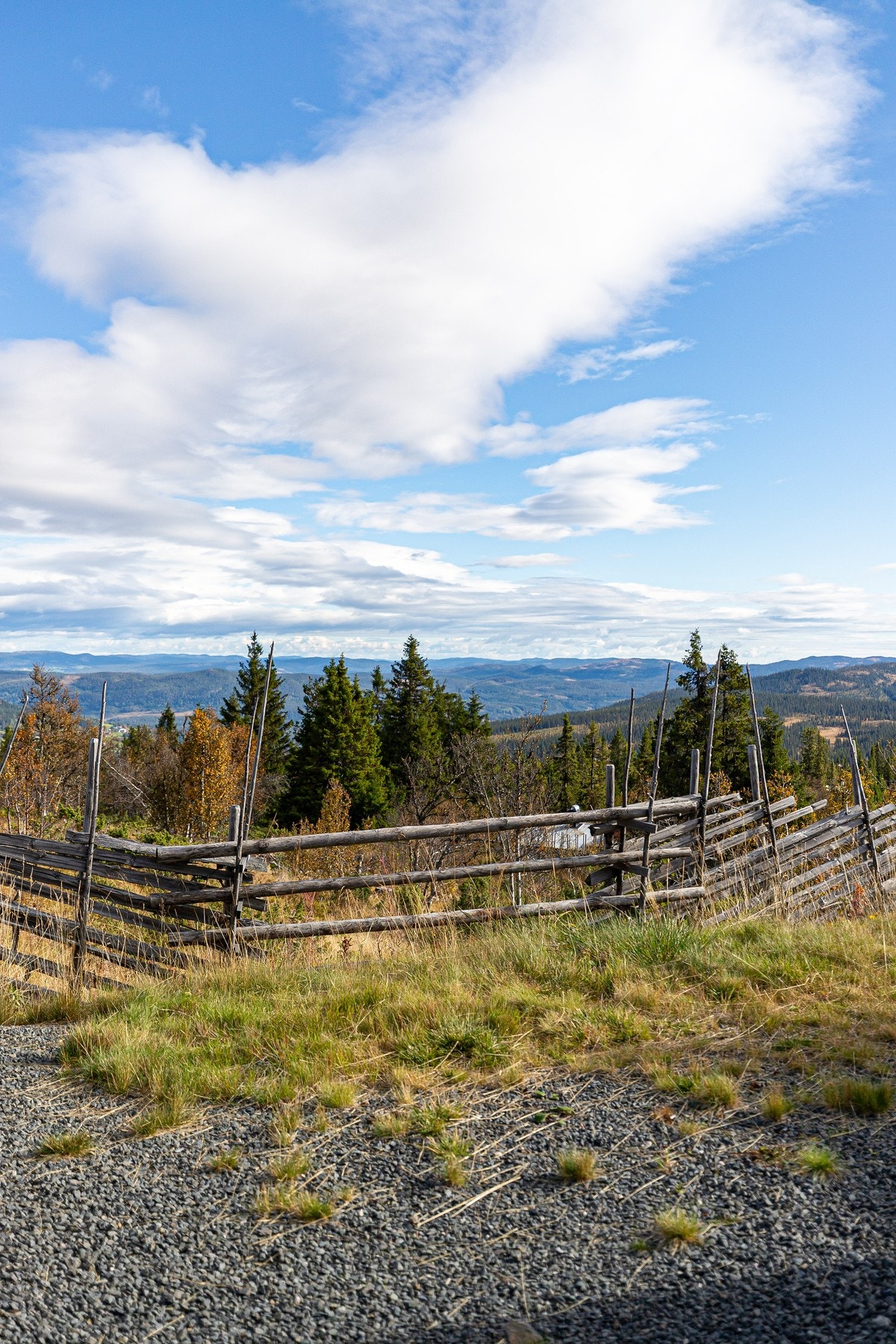 Tomten er inngjerdet med skigard Galleribilde