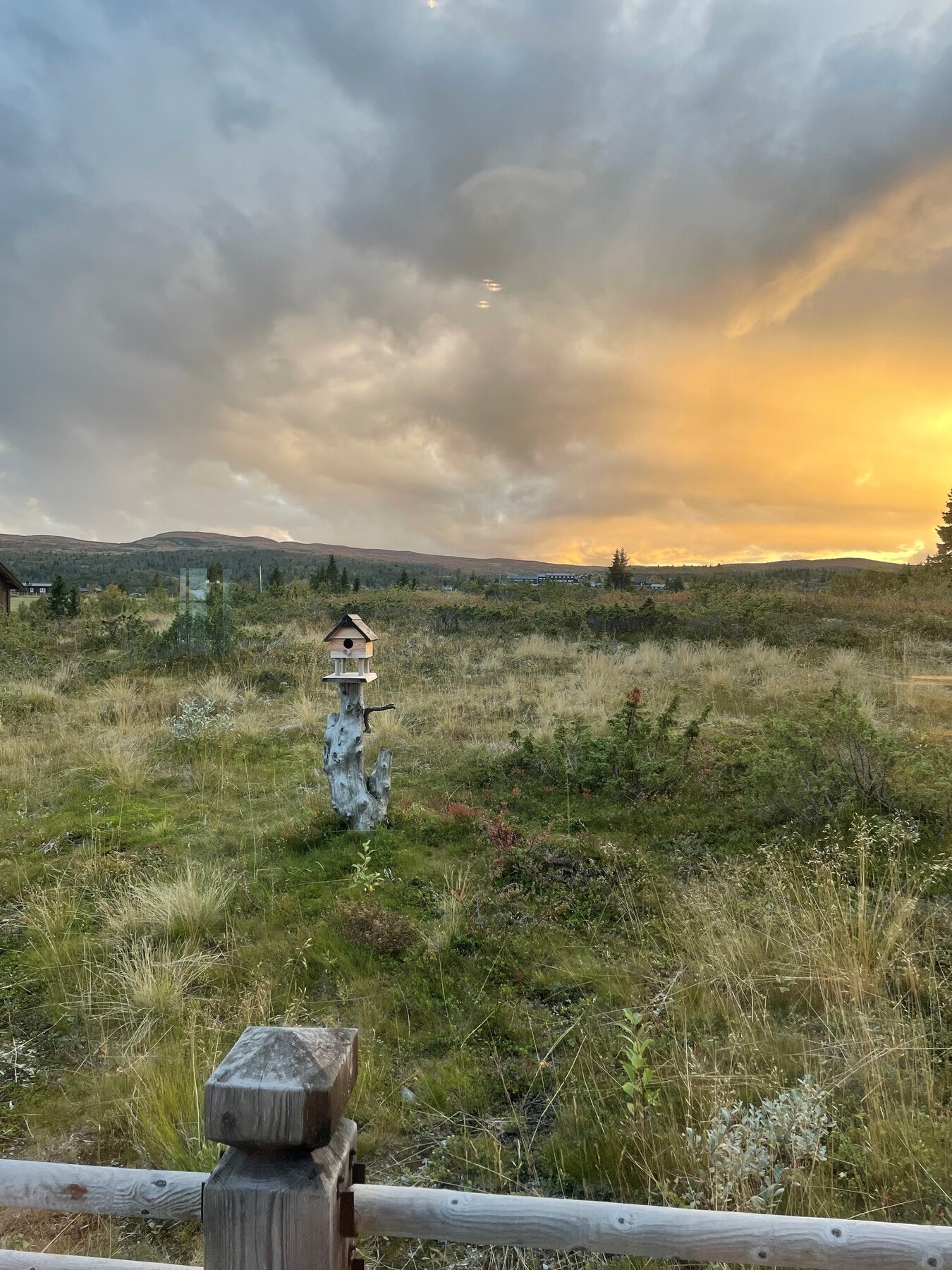 Bilde fra selgers arkiv Galleribilde