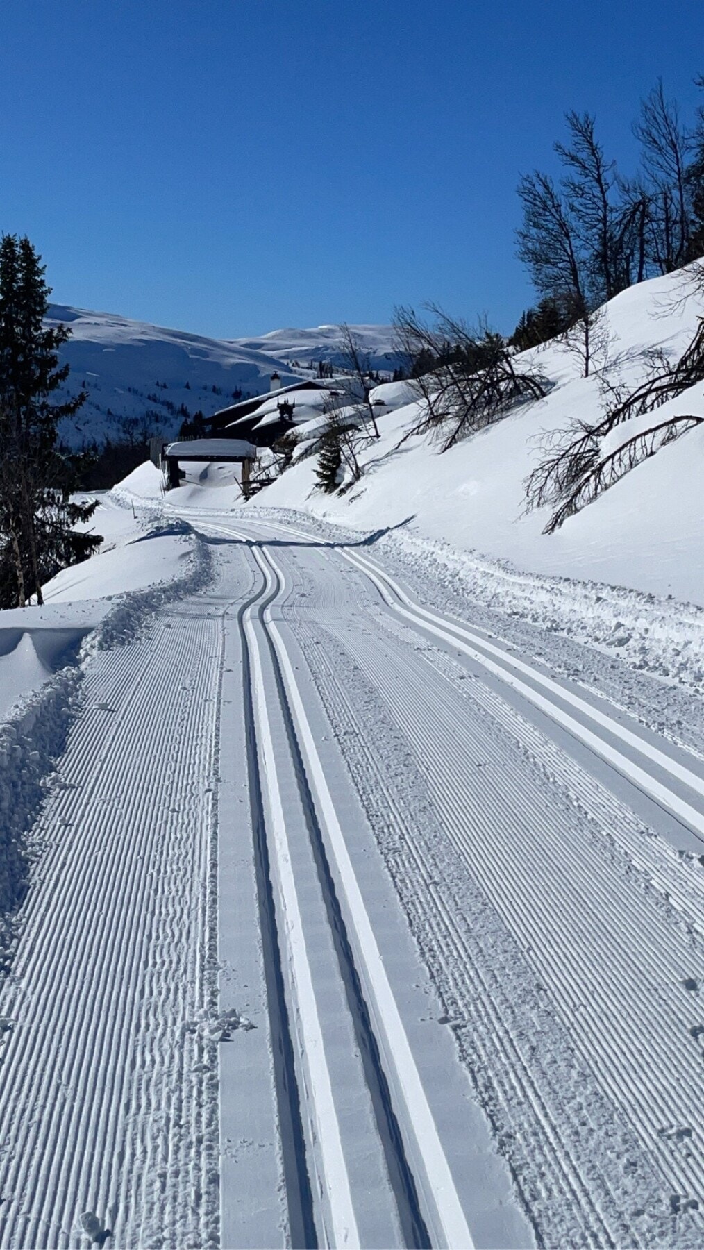 Bilde fra selgers arkiv Galleribilde