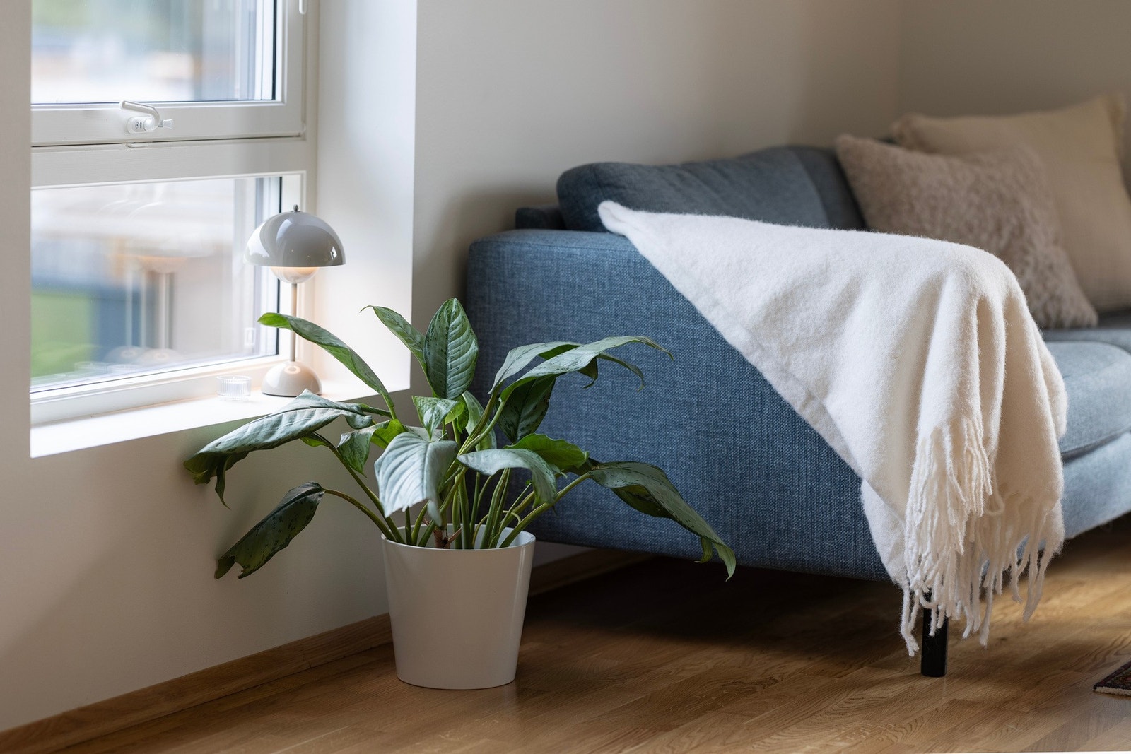 Detaljbilde. Galleribilde