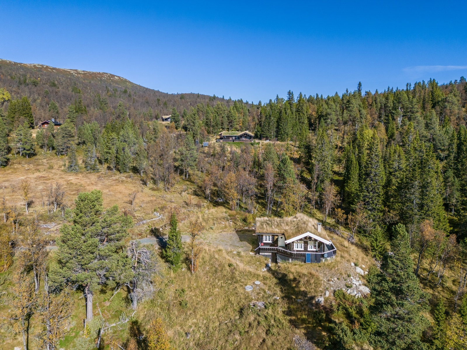 Utsikt - Høstfarger Galleribilde