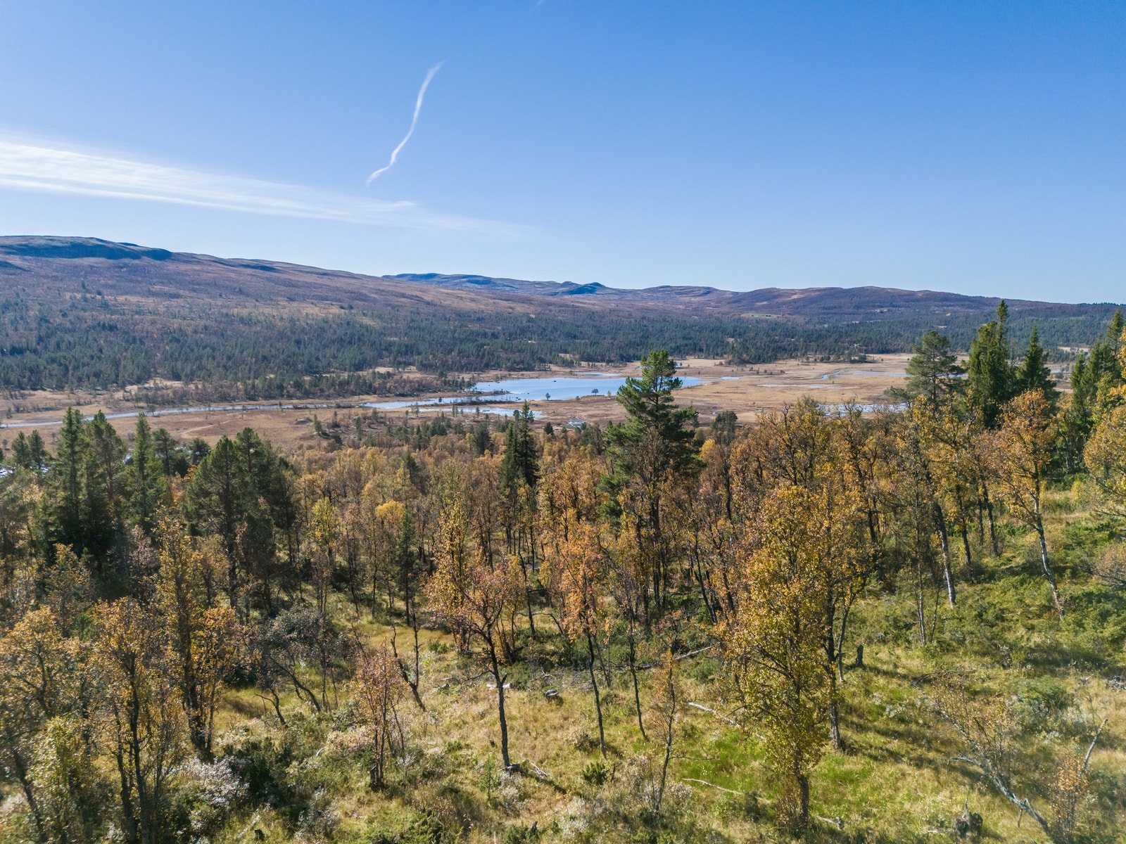 Utsikt mot viddene Galleribilde