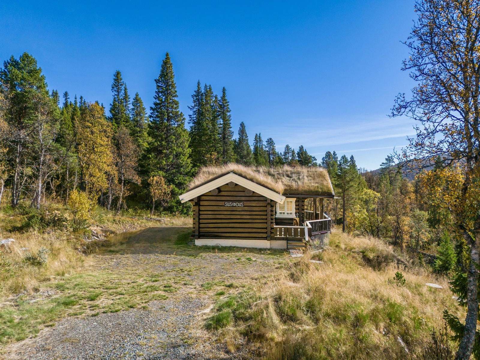 Bilvei frem til hytta Galleribilde