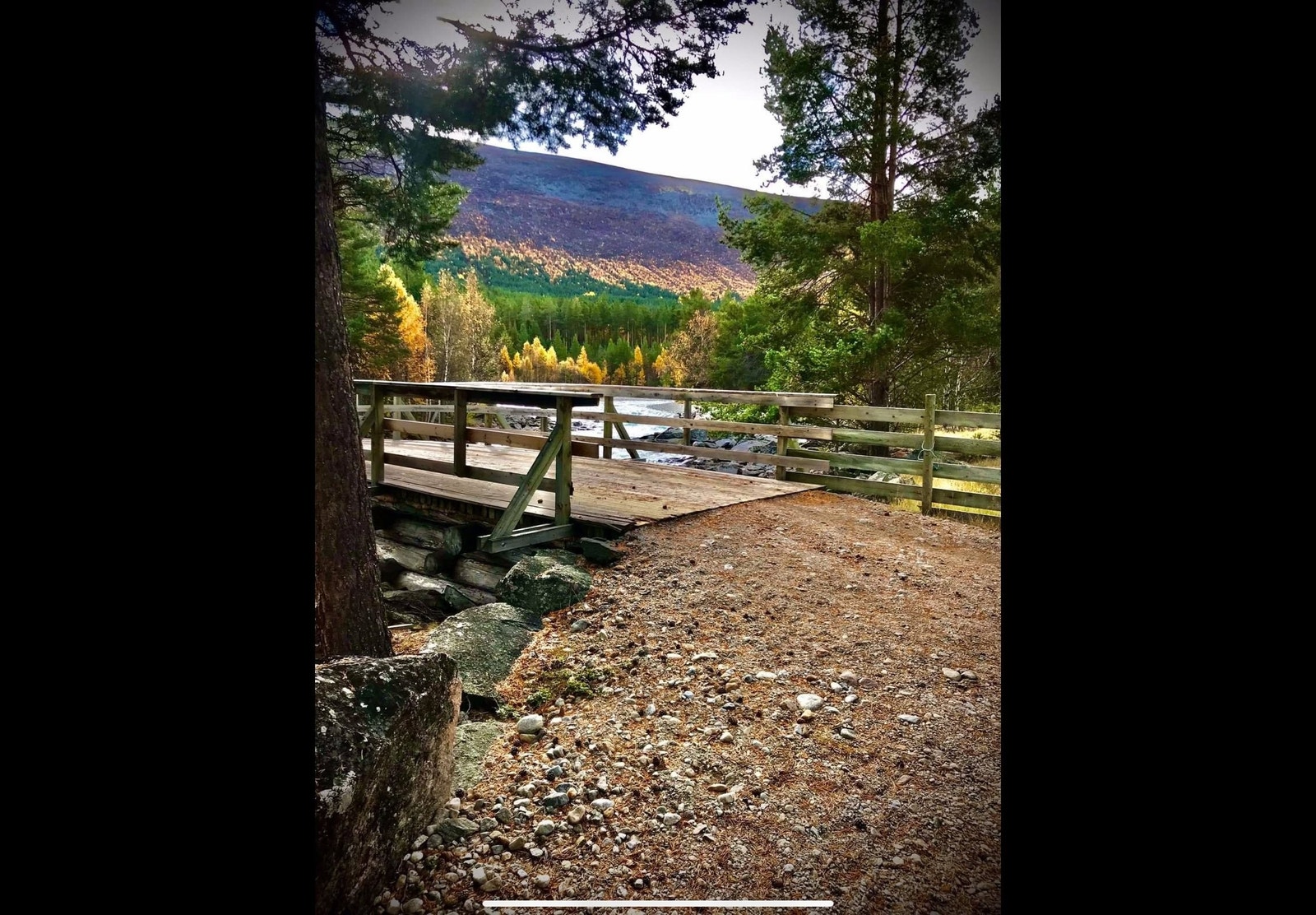 Pålebrua i høstfarger, hele området er perfekt for nydelige turer om høsten. Galleribilde