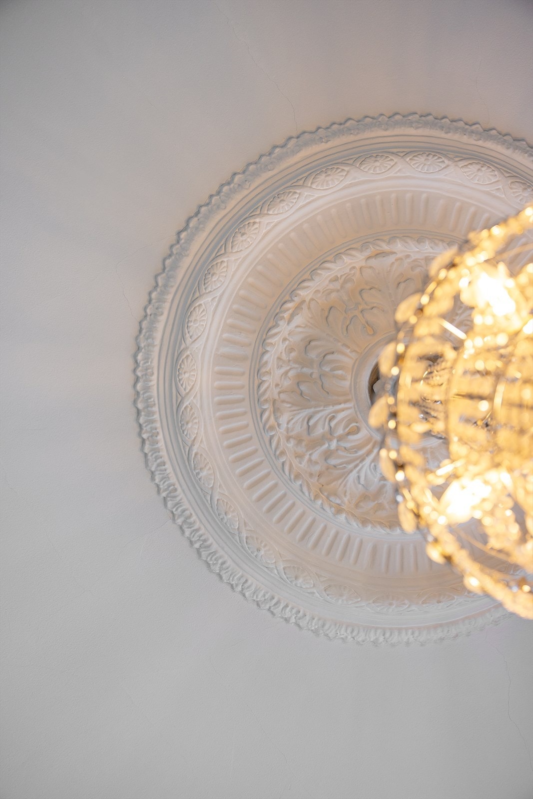 Vakker rosett. Galleribilde