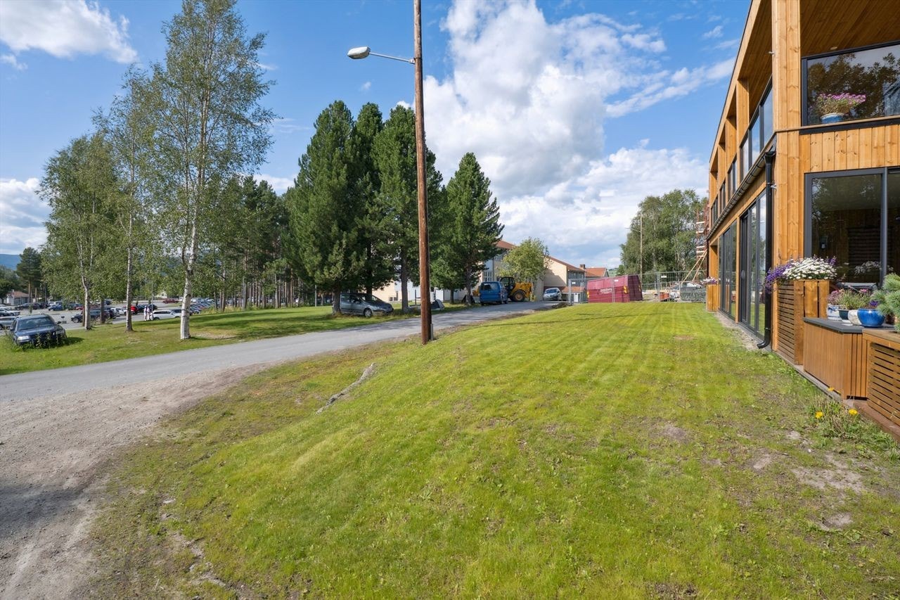 Sameiet har opparbeidet plenarealer. Galleribilde