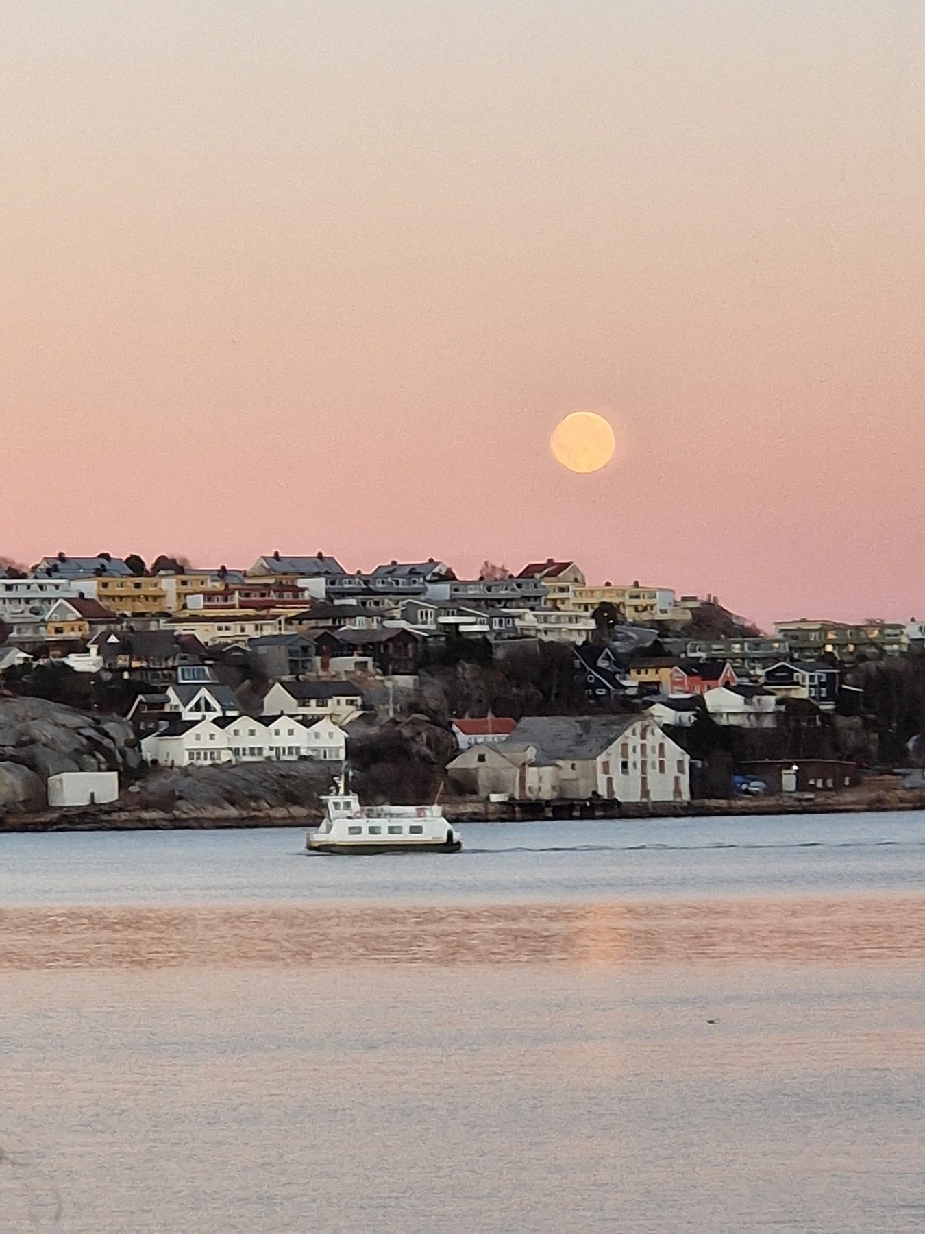 Selgers eget bilde Galleribilde