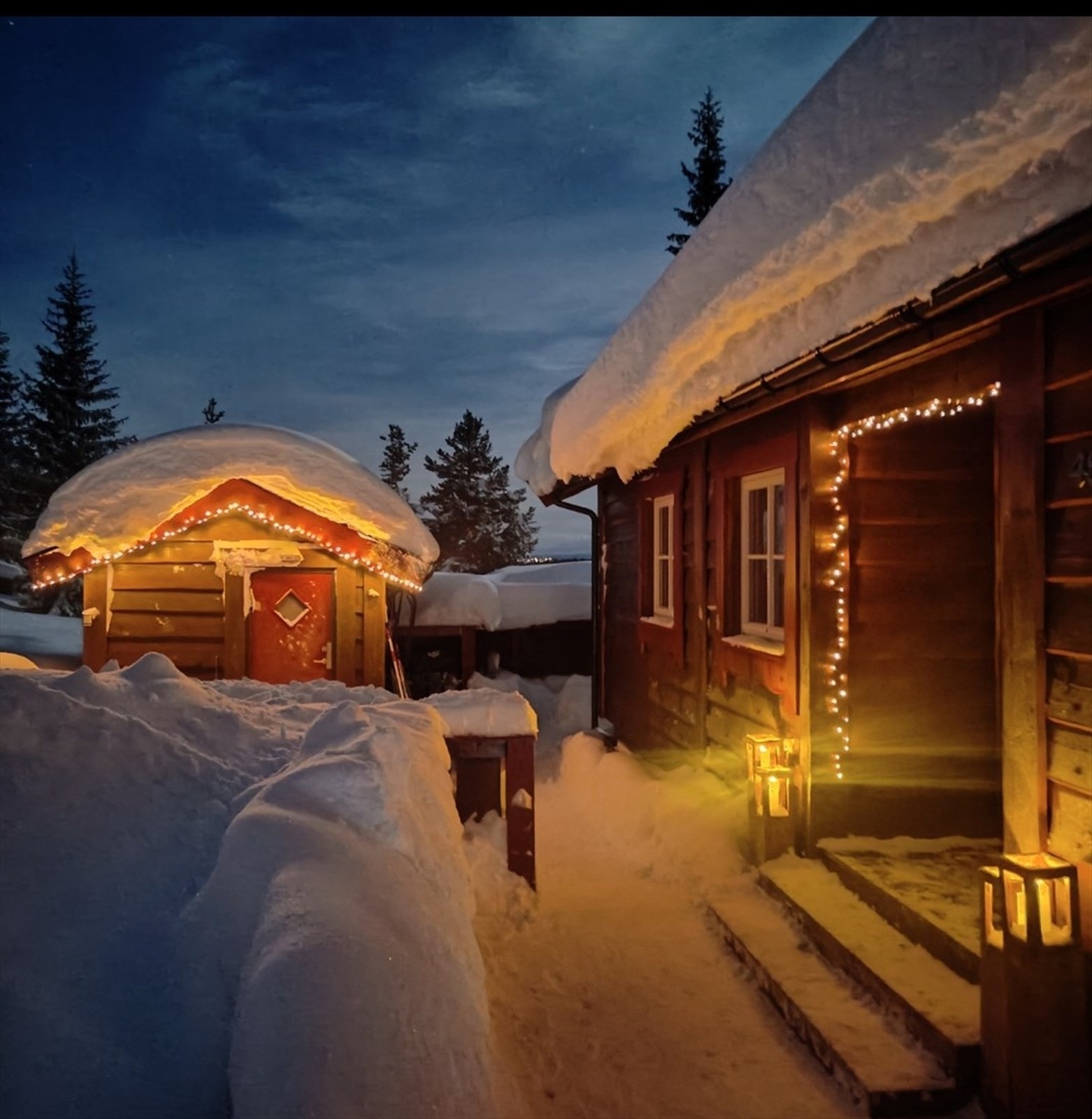 Selger eget bilde Galleribilde