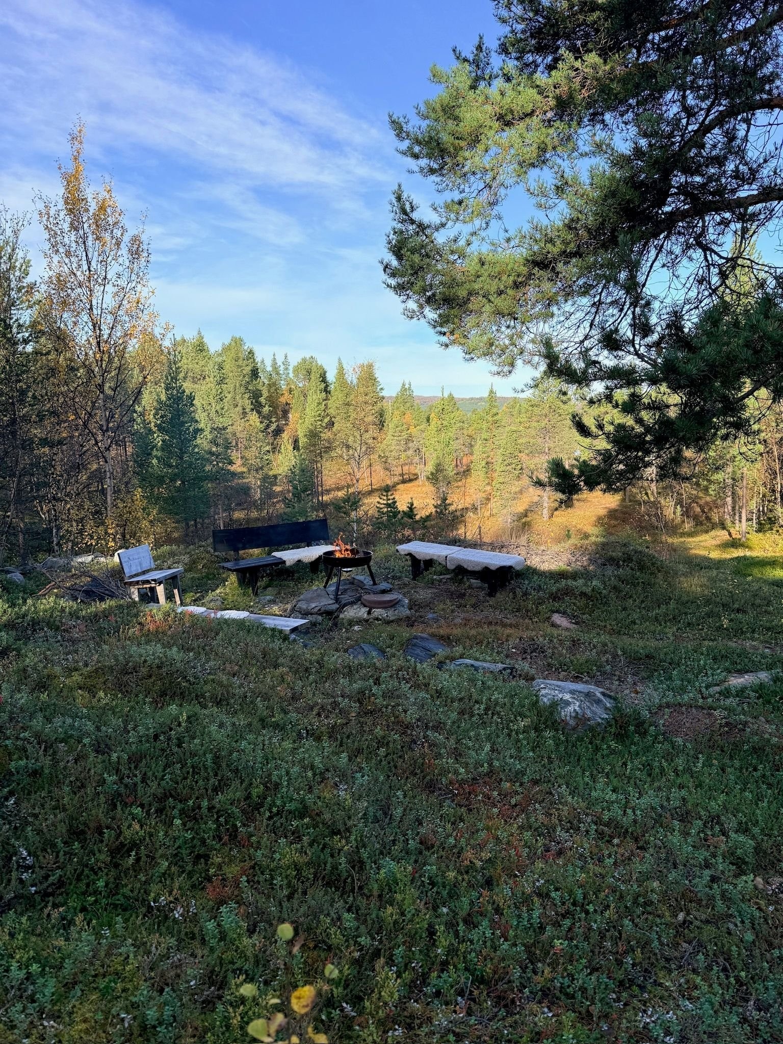 Bålplass Galleribilde